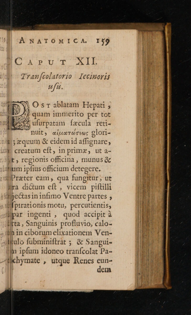 À NATOMICA I$9 LA UT ALL ll d ran[colatorto Iecinorii 1m X» O s v ablatam Hepati ; li üR5 y ] y quam immerito per tot AA ufurpatam ízcula reti qm IM ] 22/0) à r dtd c à reti- t bs nuült, aine glori- I$; zquum &amp; eidem id affignare, lt I! creatum cft, in primz, ut a- ! ; Ii» regionis officina, munus&amp; [ iSi ipfius officium detegere. l Prater eam qua fungitur ; ut js lira dictum eft , vicem piftilli 1 dilpectas in infimo Ventre partes ; | Il fptrationis motu, percutientis; lpar ingenti , quod accipit à hu ifta, Sanguinis profluvio, calo- lut lain ciborumelixationem Ven- T EE Ifulo fubminiftrat 5; &amp; Sangui- n ipfum idoneo tranfcolat Pa- TU 4khymate , utque Renes eun- RE dem |