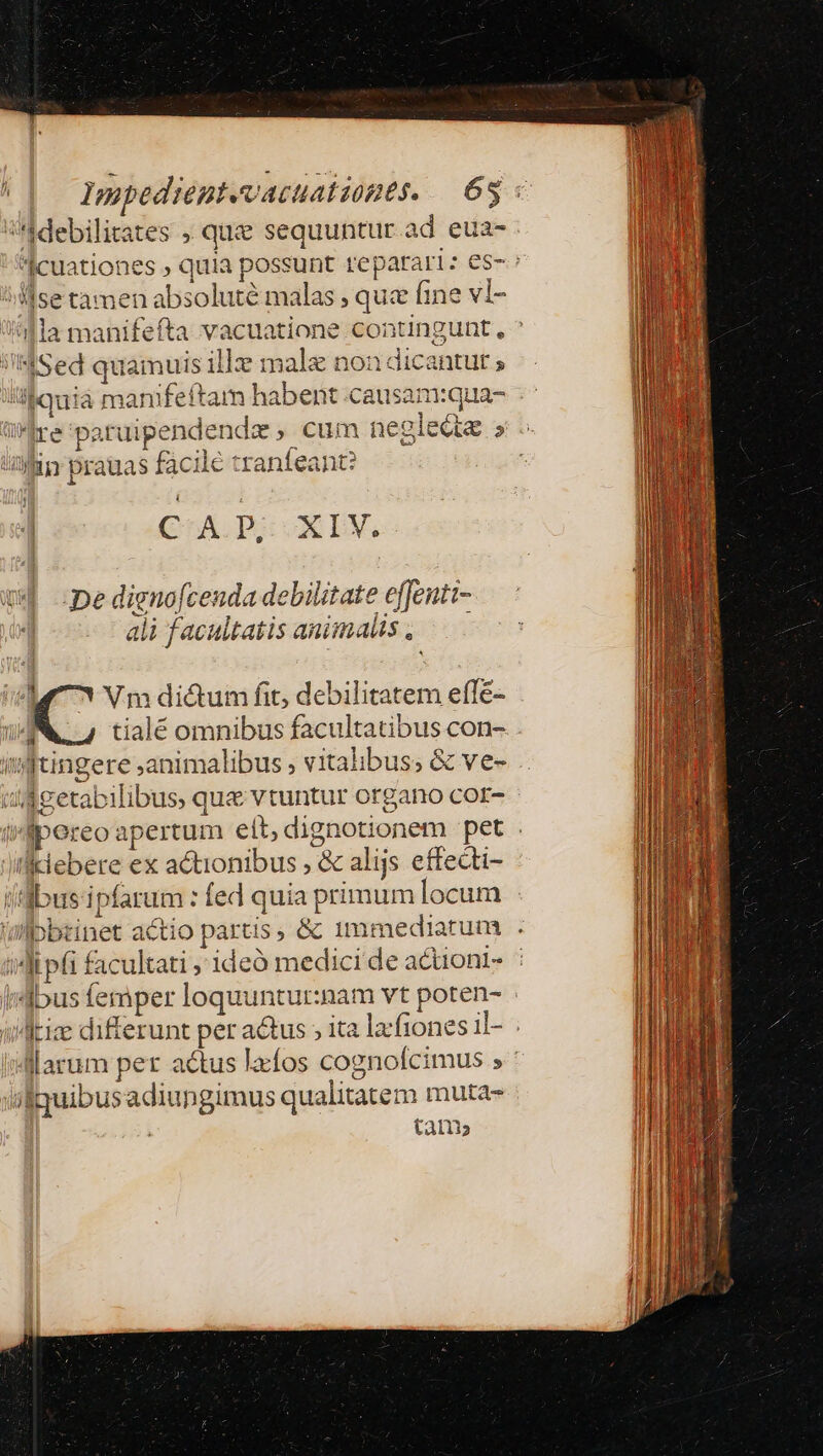 /4debilitates ; quz sequuntur.ad eua- cuationes , quia possunt reparari: es- : ^ Msetamen absoluté malas , qu fine vi- lla manifefta vacuatione contingunt, ^ /MSed quamuis ill mala noa dicantut » ilquià manifeftam habent causam:gua- WMre'paruipendendz, cum neglede » -- Mm prauas facile tranfeant? j | GA. By: X EV. pe dignofcenda debilitate effeuti- ali facultatis animals , i Vm diétum fit, debilitatem effe- rii tialé omnibus facultatibus con- i'tingere animalibus vitalibus; &amp; ve- - uiegetabilibus, qu&amp; vtuntur organo cor- i Fd4^pereo apertum elit, dignotionem pet . Jifiiebere ex actionibus , &amp; alijs effecti- i'd busipfarum : fed quia primum locum 'Uibbtinet actio partis &amp; immediatum . idi pfi facultati , 1deó medici de acuoni-. Iibus femper loquuntur:nam vt poten- /drize differunt per adus » ita lafiones il- : iMarum per actus la-fos cognofcimus » ' ilquibusadiungimus qualitatem muta- ; tani