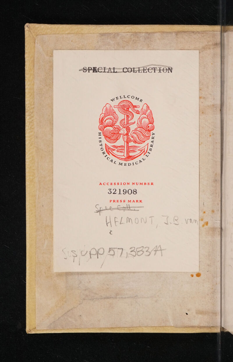 “SPECFAL-COLEECFEON LLC £ Or oLZSiH Pa 54 < &amp; &amp; y A) 4Ÿ © + 4 É £MED1C? 321908