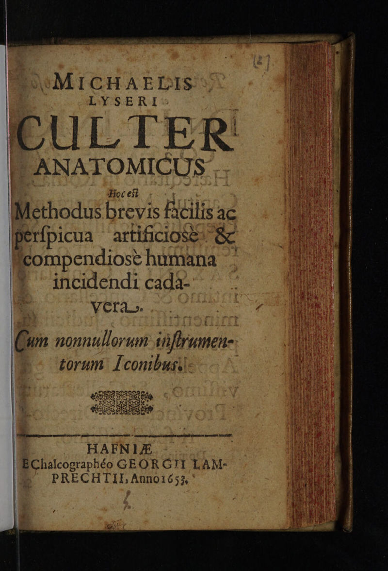           MICHAELIS LYSERI | ANATOMICUS ap Hoc efi | | E Methodus brevis £xilis ac perfpicua artificiose &amp; Icompendiose humana ': incidendi cada- |. Veta... Cum nonnullorum irte   | torum. 1conibusi- | eU EDEG CER | ei UHR HR HAFEN 1E Wicnstcogipheo GEORG7I LAM- Dru du PRECHTIL Annoi6 32* | pd i !