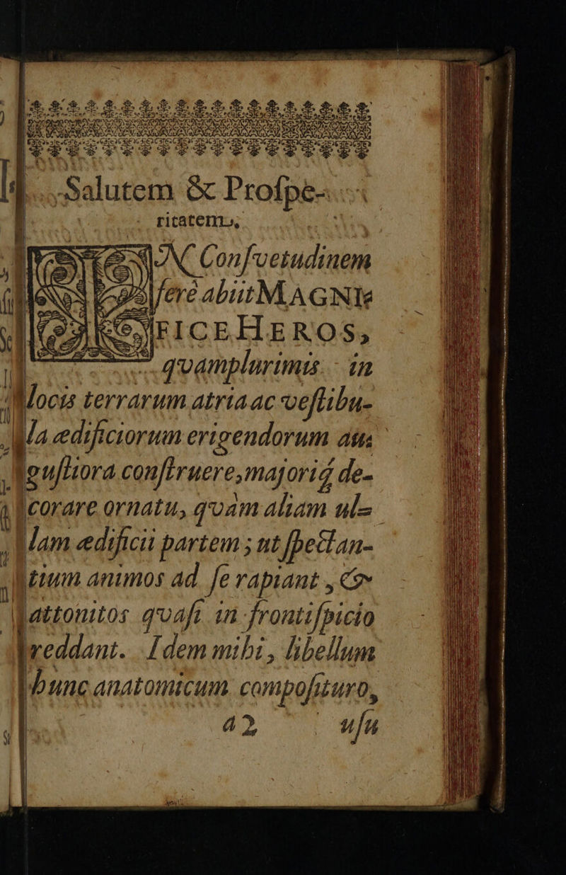 Li X As 5 X u s CIRCO ITEAC TE Se IEQGETE C 37 2C ATE ATEOCS *l A c E € c2 E , Salutem Oc Protpisa       ricaterni, J - 3 AC onf'uetudinem (MeNoS popol/ere abiit M. AGANT MeeyEIcEHzRos, x quamplurimis in Mlocis terrarum atriaac veftibu- 1 Ms edificiorum erigendorum. Aft: i pujora conferuere majori i4 ' de- 1 corare ornatu, quam aliam ul ]am ced. fici partem ; nt Jpectan- zum animos ad fe rapiant , Ce IMattonitos quafi in frontifpicia ; a reddant. [dem mibi, libellum | bunc anatomicum. compofuuro, 42, ufu       
