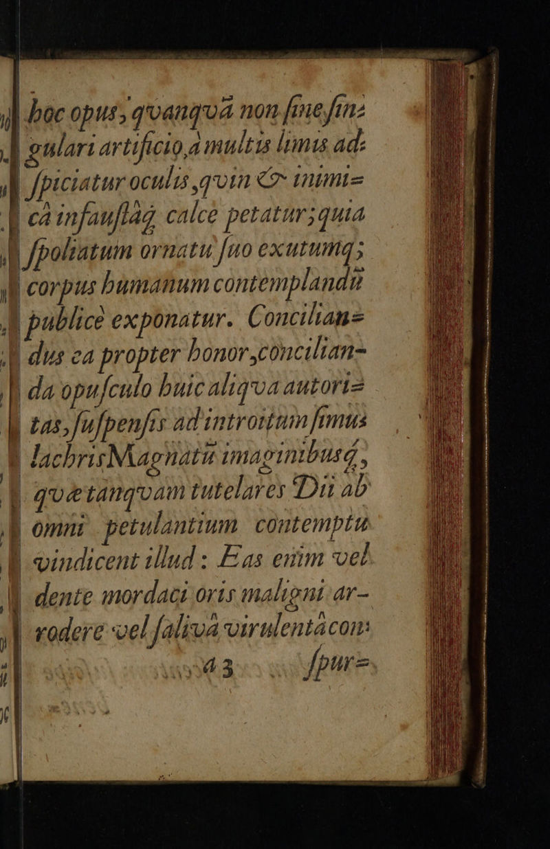 jl boc oput, qoanqua non [mefanz J| gulari artificio a muitis limus ad. || J/piciatur oculis goin e mmi p^. ^d : |] 4 mnfauflag calcé petatur;quia | /poltatum ornatu fuo exutumas «B corpus bumanum contemplandu 4 publice exponatur. Concilians A dus ea propter bonor,concilian- | da opufculo buic aliqoa autort2 A zar. fufpenfis ad introitam frmus 1 lachrisMagnatu imaginibuse, J| quéetanqoam tutelares Dii ao B omni petulantium. contemptu B vindicent illud : Eas exim vel | | dente imordaci oris maligni ar- | rodere :vel faliva virulentacon: ] DICT MEN fgurz     