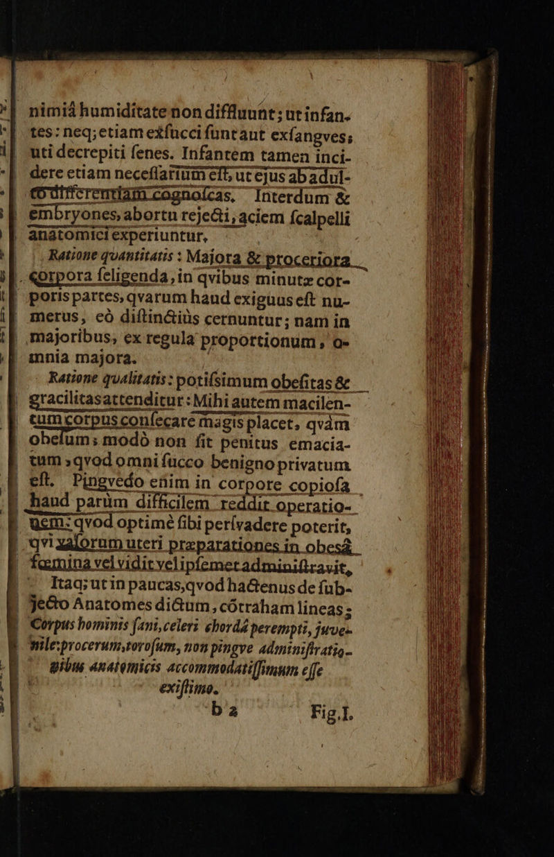 '| nimiá humiditate non diffluunt; ut infan. tes: neq;etiam exfucci funtaut exfangves; uti decrepiti fenes. Infantem tamen inci- dere etiam neceffarium eft; ut ejus ab adul- (o dtcrenudam cognoícas, Interdum &amp; &amp;mbryones abortu rejecti, aciem fcalpelli anatomici experiuntur, : Ratione quantitatis : Majora &amp; ptoceriora .. |, Qgrpora feligenda, in qvibus minutz cor- | porispattes, qvarum haud exigüus eft nu- | metus, eó diftin&amp;iüs cernuntur; nam in , majoribus; ex regula proportionum , a- | innia majora. Ratione qualitatis: poti(simum obefitas&amp;c — | gracilitasattenditur: Mihi autem macilen- | cumcorpusconfecare magis placet, qvám | obefum; modó non fit penitus . emacia- | um »qvodomnifucco benigno privatum | ef... Pingvedo enim in corpore copiofa E hand parüm difficilem reddit operatio- JU stbansenepui iiim . ; | uem: qvod optimé fibi perívadere poterit, | qvixalorum uteri przparationes in obesá | faunina vel vidit velipfemet adminifizavit, | ^ Itaq;utin paucas,qvod ha&amp;enus de fub- L je8o Anatomes di&amp;um, cótraham lineas; E. Corpus hominis fani, celeri cbordá perempti, jsrve- | mile: procerumytorofum, non pingve adminiffratia Ro gibu anatemicis accommodati[fimum effe Bá exiffimo. | ba Fig.I.  | m | 1 | 