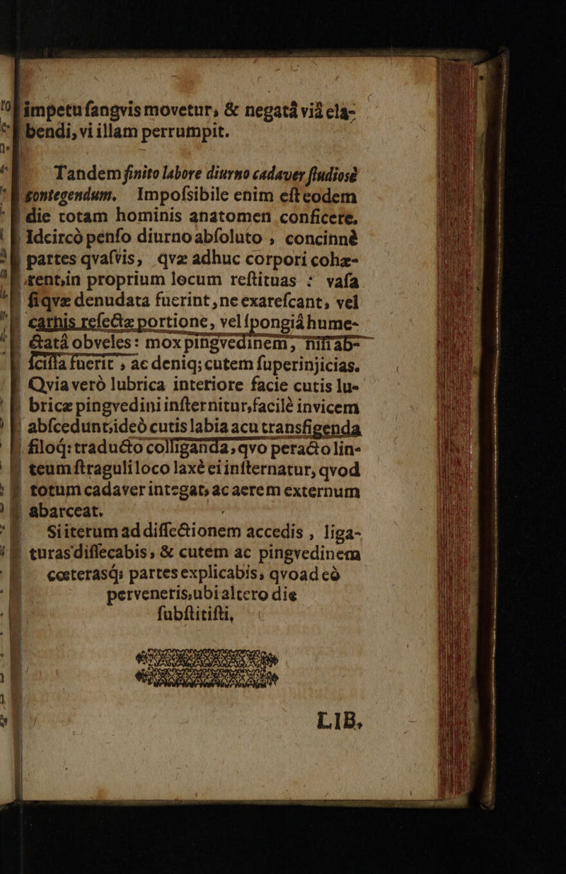                1 impetu fangvis movetur, &amp; negat viá ela- | bendi, vi illam perrumpit.  e a | Tandem finito labore diurno cadaver ftudios * B'gontegendum. 1mpofsibile enim efteodem | die totam hominis ahatomen conficere. | Idcircó penfo diurnoabíoluto ; concinné | partes qvafvis, qva adhuc corpori cohz- |rentin proprium lecum reftituas ?* vafa B fiqve denudata fucrint ,ne exarefcant; vel ] | «athis refc&amp;e portione, vel (pongiá hume- ^E &amp;atá obveles: mox OXpIBEved Cm Tüfiab- I a fücrít ; ac deniq;cutem fuperinjicias. Qvia veró lubrica interiore facie cutis lu- | brice pingvedini infternitur;facilé invicem | abfcedunciideó cutis labia acu transfigenda B filoQ:tradu&amp;o colliganda;qvo p peracto lin« B teum ftraguliloco laxé ei infternatur, qvod ? totum cadaverintzgat; ac aerem externum ? abarccat. | Siiterum ad diffe&amp;ionem accedis ; liga- ! 8 turasdiffecabis; &amp; cutetn ac pingredinem ! || costerasq; partes explicabis; qvoad có I pervenetris,ubi altero die fubftitifti, ut al | | i | ! 