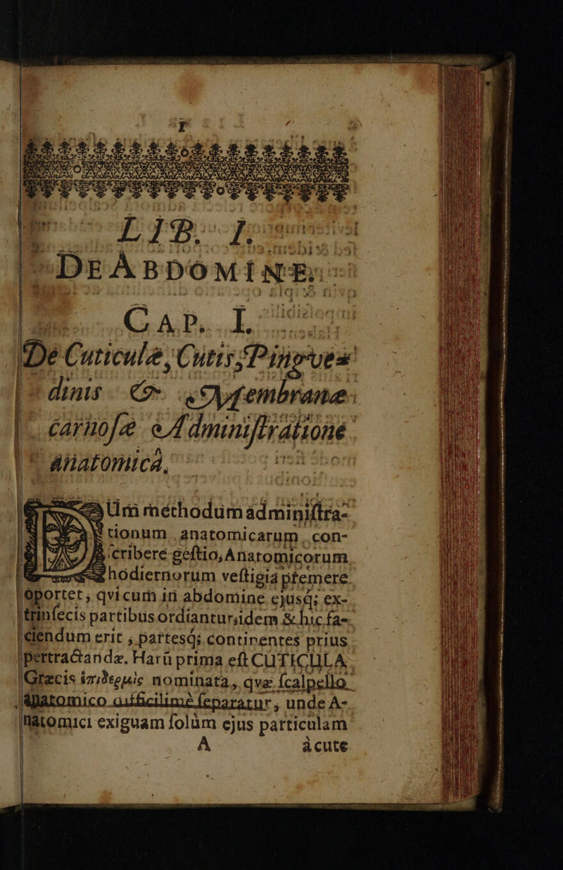     I : p 5st m. Ai 2 Lt :            : Coal T 2. Cuticule ; Cutis Pins ues | dinis e eoytembrane | |. carho[e oA. dminiferalion. sHatomtcá, «53 Lr meéchodum idis s 3 tionum anatomicarum . con- JÀ cribere geftio,Anaromicorum. E ax hodiernorum veftigia pfemere. | ey qvicum iri abdomine ejusd; ex-- |trinfecis: partibus ordianturidem &amp;.hic faa. elendum erit ; partesQi continentes prius pertradan da. Harü prima eft CUTICLILA Grecis izi!'seuic nominata, qve fcalpello: Jagaromico aiffcilim? (eparazur, unde A- IllIatomici exiguam folàm ejus particulam | A áàcute |  