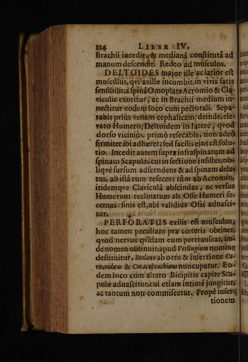            pa Lihbzm-:IV, | Brachii iacedit;;&amp; mediana conftitutá ad [! manum defcendit: Redeo ad muículos. DELTOIDES major ille aclatior eft mufcülus, qvi'axille incumbitin vivis fatis | fenfibilis;d (pin$O moplateAcromio &amp; Cla- || viculis e&amp;orttut ; ác ín Brachii medium in» [tre ne&amp;itur eodemlToco cüm pecrorali. Sepá* | rabis priüs veniam cephalicam: deinde;ele*. Wf vato Humero;Deltoidem in latere ; qvod | Ion dorfo viciniüs, primó refecabis; not'adeà m firmiteribiadhztet; fed facilisejus eftfolu« || tio; -Incedit autem fupra infrafpinatumaad | fpinatn Scapulz;cuiin fe&amp;ioneinfiftes;obs Jii liqvé furfum adícendens &amp;ad fpinam delas | yi tus, abiftáeum'refeces: tüm ab'Acromio; |ui itidemqve Claviculá abfcindas ac vetfus |I Humerun.reclinatum ab:;Offe Humeti fe« | cernas: finis eft,ubi validius'Ofsi-adnafcie [ni tur. T | i ] PERFORATUS exilis: eftmufculus; | hoc tamen peculiare pra ceteris obtinet; | qvod nervus:qvidam eum pertranfeatylim | dénomen obtinuit;apud Veilisgium nomine |j deftituitut , Rtolag0 ab ortu &amp; infertione Co- |t vacoidaus à Cordcelvachieu nuincupatut; Eo- |« demloco ctm altero Bicipitis capite Sca4 |i paleaduafciturcui etiam intime jungituty | actantum non: commifcetür, Prope infet4 li tionem |                                                  