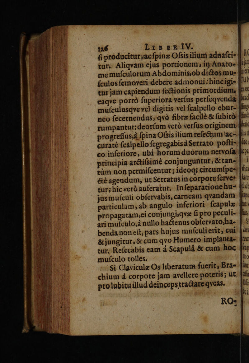      126 Li:szsRIV. (i producitur;acfpinz Ofsis iliuni adnafci- tur.. Aliqvam ejus portionem, in Anato« fculos femoveri debere admonui: hincigie tur jam capiendum fe&amp;ionis primordium,. mufículusqve vel digitis vel fcalpello ebut- neo fecernendus; qvà fibre facilé &amp; (ubitó: curate fcalpello (egregabisdSerrato pofti- co inferiore, ubi horum duorum netvofa &amp;é agendum, ut Serratus in corpore ferve* tur; hic verb auferatur, Infeparationehu- jus muículi obfervabis, carneam qvandam particulam, ab angulo inferiori fcapulz propagatam,ei conjungisqvz fi pro peculi- ari mufculo,à nullo haGenus obíervato,ha- &amp; jungitur, &amp; cum qvo Humero implanta- tur, Refecabis eam d Scapulá &amp; cum hoc mufculo tolles. | Si Claviculz Os liberatum fuerit; Bra- chium à corpore jam avellere poteris; ut pro lubitu illud deinceps trattare qveas.             Brat fhg Ilinó dieti Ms d dito;                    date tid ! UH | lit  lr feq ti Ino Tint dota UE ihi                  