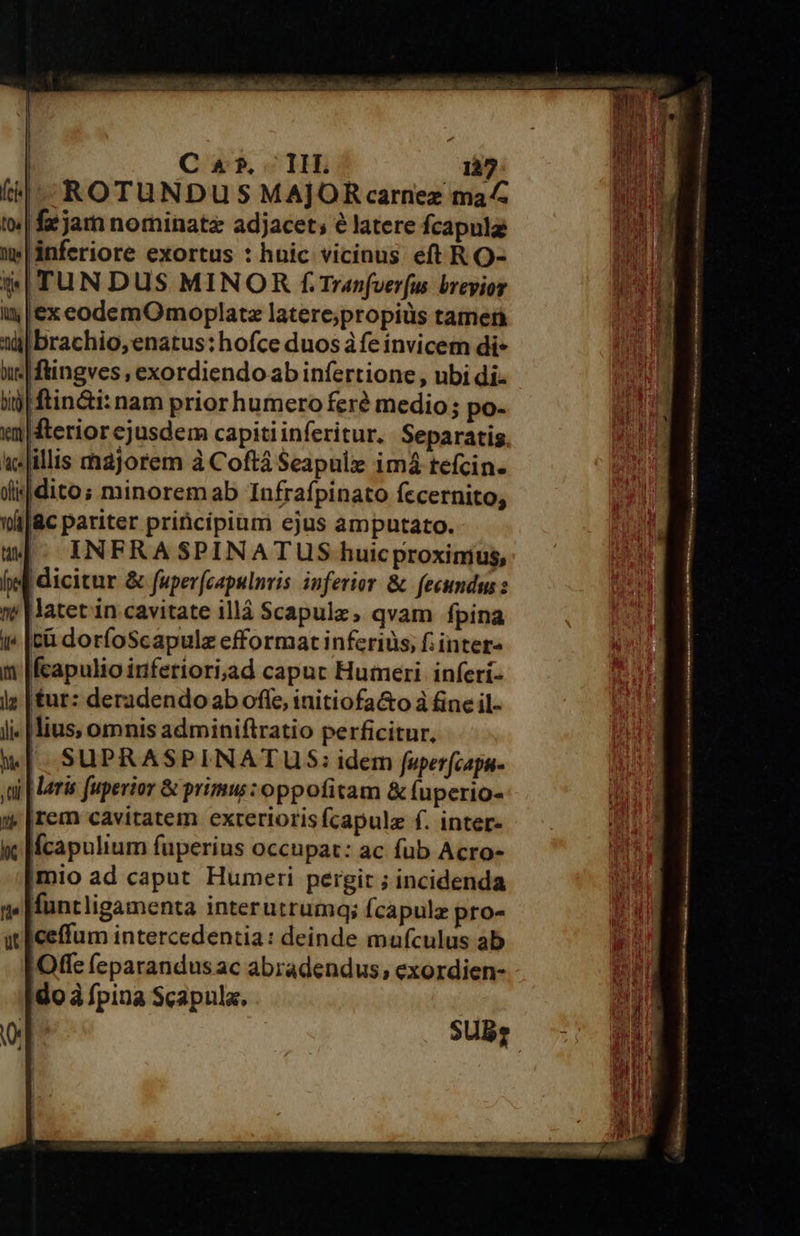 ROTUNDU S MAJOR carnez ma^ tw | fe jam nominate adjacet; e latere fcapulg inferiore exortus : huic vicinus eft R O- $&amp;|TUNDUS MINOR f.Tranfverfus brevior in |ex eodemOmoplatz latere;propiüs tamen i brachio,enatus: hofce duos à fe invicem di- «| ftingves , exordiendoab infertione , ubi di ij ftin&amp;i: nam prior humero feré medio; po- «adfterior ejusdem capitiinferitur. Separatis ic illis hajorem à Coftá Seapule imá tefcin. fijdito; minoremab Infrafpinato fccernito, jc pariter priticipiami ejus amputato. uw. INFRASPINATUS huicproxinius, fed dicitur &amp; fuper(capulnris inferior &amp; fecundum: »&amp; Matet in cavitate illá Scapulz, qvam fpina i* [cà dorfoScapulz efformat inferius, f; inter» fcapulio iriferiori;ad capuc Humeri. inferí- tur: deradendo ab offe, initiofa&amp;o à fine il- lius, omnis adminiftratio perficitur, SUPRASPINATUS: idem fuper(capu- ,aj aris fuperior &amp; primu : oppofitam &amp; fuperio- irem cavitatem exterioris fcapule f. inter- fcapulium fuperius occupat: ac fub Acro- [mio ad caput Humeri pergit ; incidenda «» Muntligamenta interutrumq; (capulz pro- ut [eeffum intercedentia: deinde maufculus ab |Offe (eparandus ac abradendus; exordien- ido à fpina Scapulz,  