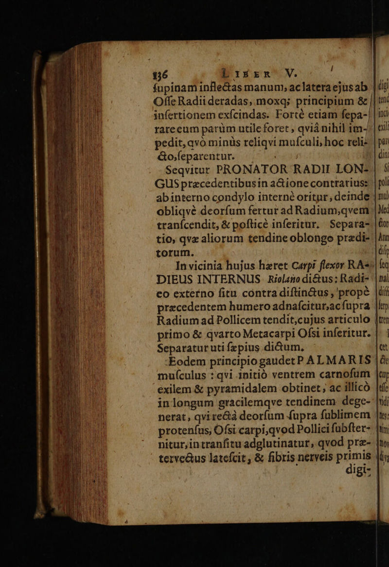    fupinam infle&amp;as manum; aclatera ejus ab Offe Radii deradas, moxq; principium &amp; infertionem exfcindas. Forté etiam fepa- rareeum parum utile foret ; qviá nihil 1m- pedit, qvó minüs reliqvi muículi; hoc reli: &amp;o,;feparentur. | GUS precedentibusin a&amp;ione contrarius: torum. Separatur uti fzpius di&amp;um, nerat, qvi re&amp;à deorfum fupra füblimem nitur, intranfitu adglutinatur, qvod prz-                             (igi exil