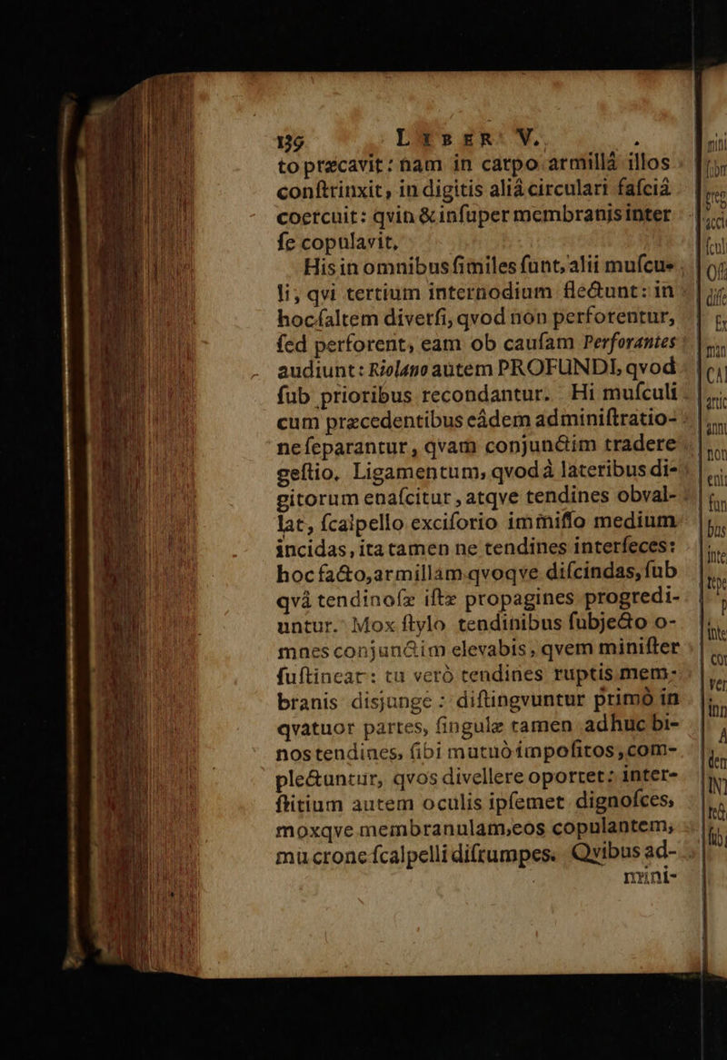     toprzcavit: tam in catpo armillá illos conftrinxit, in digitis aliá circulari fafcia coetcuit: qvin &amp; infuper membranisinter fe copulavit, | His in omnibus fimiles funt; alii muícue ; | li; qvi tertium internodium fle&amp;unt: in hocfaltem divetfi, qvod non perfotentur, | fed perforent, eam ob caufam Perforantes audiunt: Rielano autem PROFUNDL, qvod fub prioribus recondantur. Hi mufculi | | cum precedentibus eádem ad miniftratio- : | geftio. Ligamentum, qvodà lateribus di* lat, fcalpello exciforio immifío medium incidas, ita tamen ne tendines interfeces: hocfa&amp;o,armillam.qvoqve diícindas, fub qvà tendinofx ift» propagines progredi- untur. Mox ftylo tendinibus fubje&amp;o o- mnes conjun&amp;im elevabis , qvem minifter branis disjunge : diftingvuntur primó in qvatuor partes, fingule ramen adhuc bi- nos tendines, (ibi mutuóimpofitos ,com- ple&amp;untur, qvos divellere oportet: inter- ftitium autem oculis ipfemet. dignofces, moxqve meinbranulam,;eos copulantem, mücroncfcalpelli difrumpes. Quibus ad- 