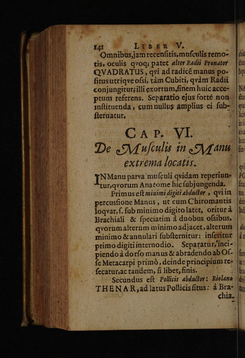                               14! Lrsss V. Omnibus;jamrecenfitismnfculis temo- tis, oculis qvoq; patet alter Radii Pronator OQVADRATUS , qfi ad radicé manus po- fitusatriqveofsi; tàm Cubiti; qvànr Radii conjungitur;illi exortum,finem huicacce- |N IU ptum referens. Separatio ejus forté non. | &amp; a infituenda , cumnullus amplius ei füb-' |qu  fternatur, / lis TEMUM om l my C A P. VI. IE n vi ME [ü un De yf ujculis 1n Su fatti is E extrema locatis. ilu 4n IN Manu parva mufcnli qvidam reperiun» |&amp;C | turqvorum Anatome hicfubjungenda. ^ |ítz Primus eft minum digiti 4bductor qviin |t percusfione Manus , ut cum Chiromantis |i loqvar,f. fub minimo digitolatet, oriturà |i Brachiali &amp; fpeciatim à duobus ofsibus, qvorum alternm minimoadjacet,alterum | i minimo &amp;annulari fubfternitur: inferitur |i; primo digitiinternodio. Separaturyinci- piendoà dorfo manus &amp; abradendo ab Of- | fe Metacarpi primó, deinde principium re» |ii fecatunac tandem, fi libet, finis. ! Secundus eft Pollicis abductor: Riolano THENAR ,ad latus Pollicis fitus: M Id. |   Wi ADAM