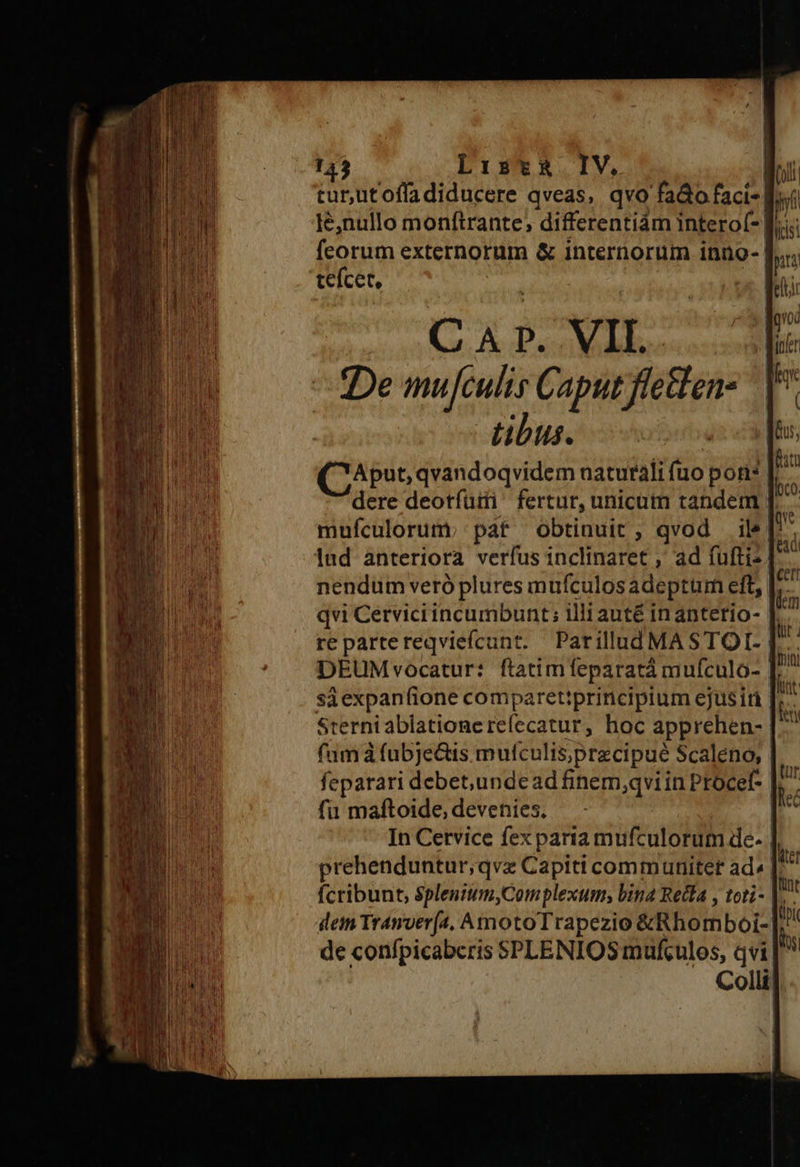    turutoffadiducere qveas, qvo fado faci- do lé,nullo monftrante; differentiám intero(- f... feorum externorum &amp; internorum inno- teícer, C A p. VII. De mujculis Caput fletten- tibus. ^Y Aput, qvandoqvidem naturali fuo poris | dere deotíütti ^ fertur, unicum tandem [ mufículorum; pat obtinuit , qvod il&amp;| lud anteriora verfus inclinaret ,' ad fufti- |. nendum veró plures mufculos adeptum ett, |... qvi Cervici incumbunt; illiauté in anterio- l re partereqviefcunt. Parillud MASTOI- [.. DEUM vocatur: ftatimfeparatà mufculo- [^ sáexpanf(ione comparet:principium ejusin [^ Sterniablatione RCRUM hoc apprehen- | fam à fubje&amp;is mufculis;precipue Scaleno, | feparari debet,unde ad finem,qvi in Procef- | fu maftoide, devenies. | In Cetvice fex paria mufculorum de- | prehenduntur;qvz Capiti communitet ad« [^ fcribunt, splenitim,Complexum, bina Rella , toti- ||. dem Tranver[a, AmotoTrapezio &amp;Rhom boi-| de conípicabcris SPLENIOS mufculos, qvi Colli; 