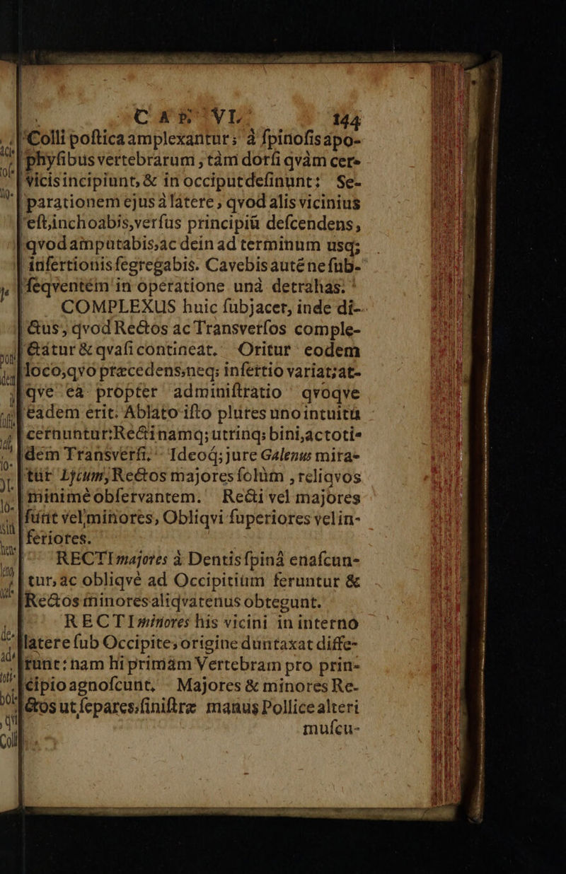 Q)« E. | Colli bonis amplexantur; à à fpinofi Isdpo- | phyfi bus vertebrarum ; tàm dorfi qvàm cer» | vicisincipiuns &amp; in occipitdefinant ; Se- | parationem ejus látere qvod alis vicinius 'eftinchoabis,verfus principià defcendens, qvodainputabis;ac dein ad terminum usq; | infertionis fegregabis. Cavebisauténe fub. feqventém in operatione unà detrahas. ' COMPLEXUS huic fubjacer, inde di-- | Gus, qvod Re&amp;os ac Transvetfos comple- loco;qvo ptecedensineq; infettio variat;at- |qve ea. propter adminiftratio qvoqve |cetnunturRe&amp;inamq; utrinq; bini,actoti» 'tüt Ljium,Re&amp;tos majores folum , rcliavos |feriotes. | RECTImajeres à Dentisfpina enafcun- ;[ tur, ac obliqvé ad Occipitiim feruntur &amp; '[Re&amp;os minoresaliqvatenus obtegunt. | RECTI»minores his vicini in interno latere (ub Occipitesorigine duntaxat diffe- muícu- 