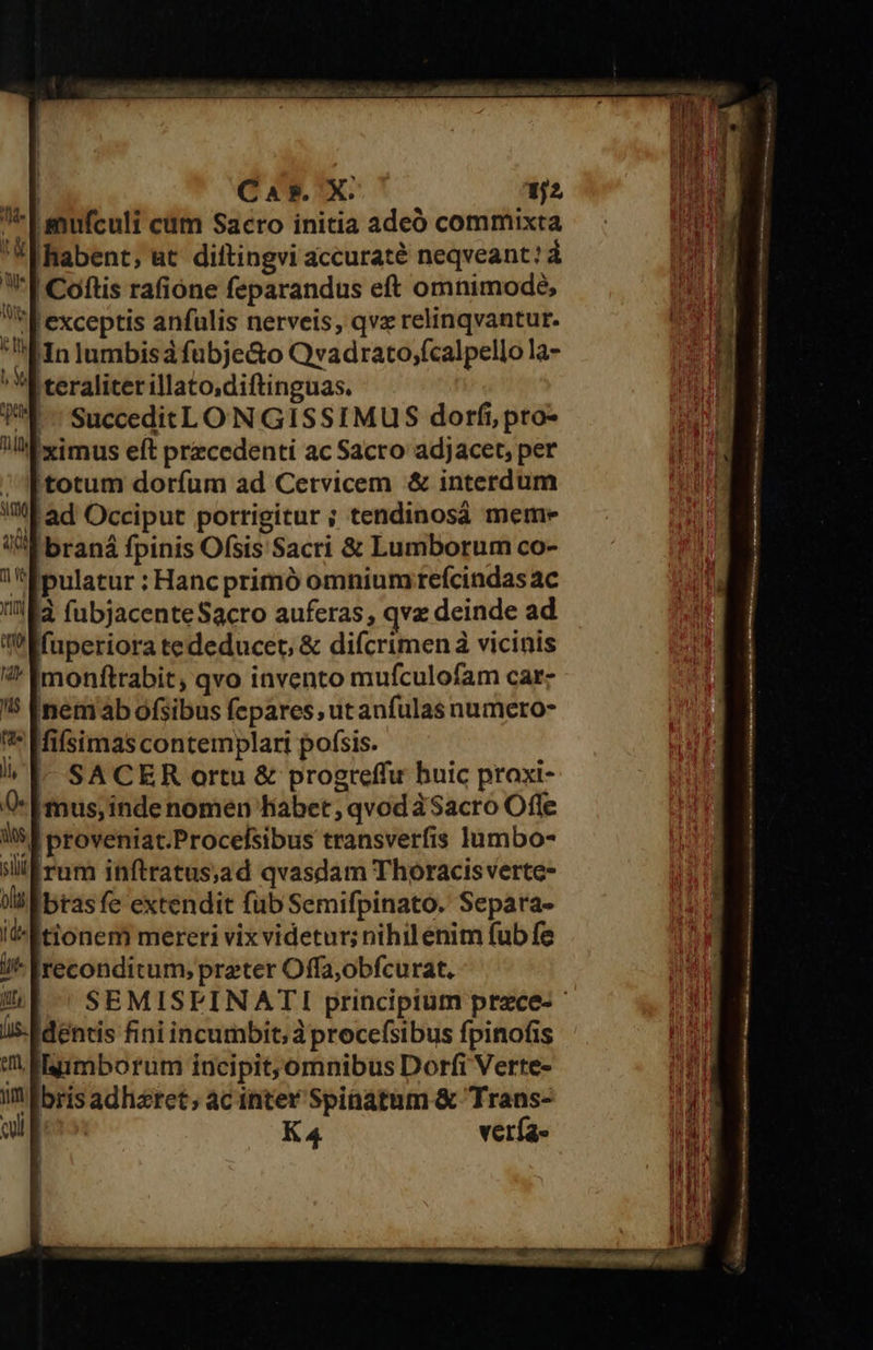^ Lefculi cim Sacro initia adeó commixta habent; ut. diftingvi accurate neqveant: á f Coftis rafióne feparandus eft omnimode, T exceptis anfulis nerveis, qvx relinqvantur. 1n lumbisá fubje&amp;o Qvadrato,fcalpello la- | teraliter illato,diftinguas. SucceditL ON GISSIMUS dorfi, pro- iximus eft precedenti ac Sacro adjacet, per totum dorfum ad Cetvicem &amp; interdum «f ad Occiput porrigitur ; tendinosá meme P braná fpinis Ofsis Sacri &amp; Lumborum co- [pulatur : Hanc primó omnium teícindasac à fubjacenteSacro auferas, qvz deinde ad fuperiora tededucet; &amp; difcrimen vicinis monftrabit, qvo invento mufculofam car: inemab ofsibus fepares, ut anfulas numero- fifsimas contemplari pofsis. ^ SACER ortu &amp; progreffu buic proxi- Ó- Emus, inde nomen Babet, qvod àSacro Offe llis f proveniat.Procelsibus transverfis lumbo- sli rum inftratus,ad qvasdam Thoracis verte- Vil bras fe extendit fub Semifpinato. Separa- it^ tionem mereri vix videtur; nihil énim fub fe I lreconditum; preter Offa;obfcurat. SEMISFINATI principium prece- i5-Edentis fini incumbit; à procefsibus fpinofis m lmmmborum incipit,omnibus Dorfi Verte- ait K4 vería- 