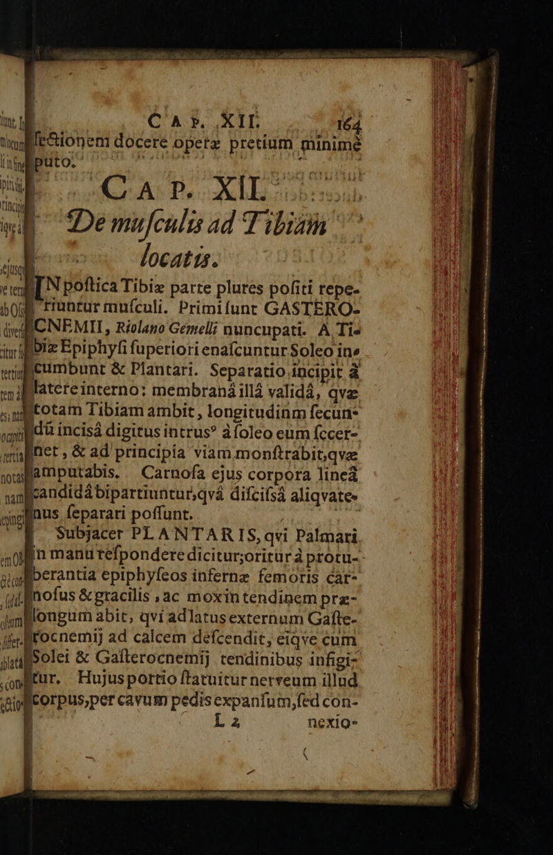                         QT Kn 164 Int f | [e&amp;ionem docere opetz pretium minime rli | puto. E ICA TP. XIE ooo; q Demufculis ad Tibizin làng ab coo locati. | cii] N poftica Tibiz parte plures pofiti repe- 50g Fruntur mufculi. Primifunt GASTERO- Uv CINEMIT, Riolano Gemelli nuncupati. A Ti» iv iple Epiphyfi fuperiori enafcuntur Soleo in» efictumbunt &amp; Plantari. Separatio incipit à :ililateteinterno: membraná illá validá, qva «n totam Tibiam ambit, longitudinm fecun- e dü incisá digitus intrus? àfoleo eum fccer- magnet , &amp; ad principia viam monftrabitqve jupamputabis,. Carnofa ejus corpora lineà unflrandidá bipartiuntur;qvá difcifsá aliqvate- igftus (eparari poffunt. Ys |. »ubjacer PLANTARIS,qvi Palmari ain manu tefpondere dicitur;oriturà protu- - Qi Iberantia epiphyfeos inferne femoris car- (unffmofus &amp; gracilis »ac moxintendinem prz- Jmmplongum abit, qvi adlatusexternum Gafte- Jis rocnemij ad calcem defcendit, eiqve cum jufolei &amp; Galterocnemij cendinibus infigiz oitur. Hujusportio fl'atuiturnerveum illud «ipffcorpusper cavum pedis expanfum,fed con- | L 2 nexig- » | V —MÀ 9M ÓX —À E e. 