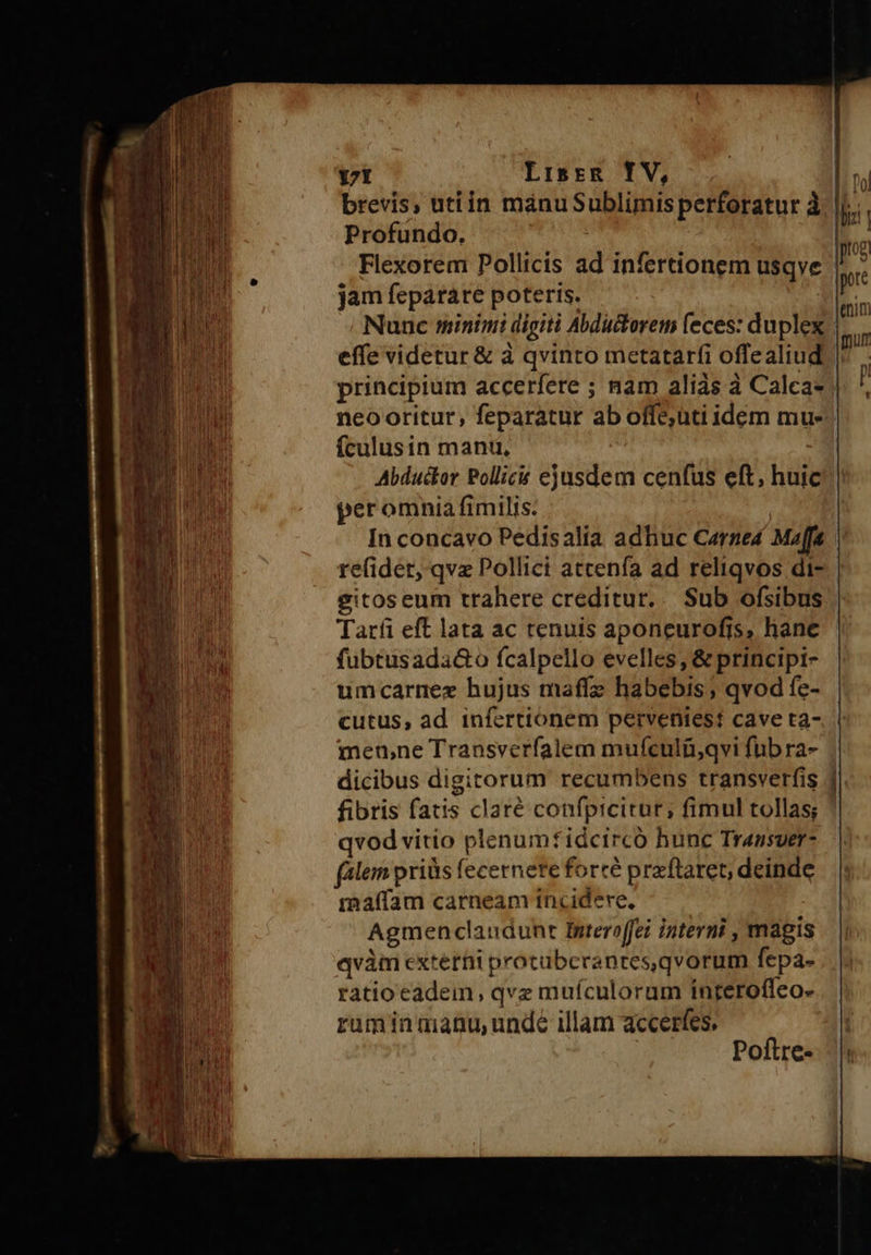 Y7t Lisrzg TV, brevis, utiin manuSublimis perforatur à. || Profundo, Flexorem Pollicis ad infertionem usqve | jam feparare poteris. | Nunc minimi digiti Abductorem (eces: duplex effe videtur &amp; à qvinto metatarfi offealiud principium accerfere ; nam aliás à Calca- neo oritur, feparatur ab offe;uti idem mu- fculusin manu, | Abductor Pollicit ejusdem cenfus eft; huic per omnia fimilis: In concavo Pedisalia adhuc Carne Maff refider, qva Pollici atcenfa ad reliqvos dit- gitoseum trahere creditur... Sub ofsibus Tarfi eft lata ac tenuis aponeuroftis, hane fubtusada&amp;o fcalpello evelles, &amp; principi- umcarnez hujus maffz habebis; qvod fe- cutus, ad infertionem perveniest cave t2- men,ne Transverfalem mufculü,qvi fub ra- dicibus digitorum recumbens transverfis | fibris fatis claré confpicitur; fimul tollas; qvod vitio plenumftidcircó hunc Transuer- falem priüs fecernete forte przftaret, deinde maffam carneam incidere, Agmenclandunt Interoffei interni , magis qvàm exterhi protuberanres,qvorum fepa- ratio eadem , qvz mufculorum inrerofleo- ruminmanu,unde illam accertíes, Poftre- 