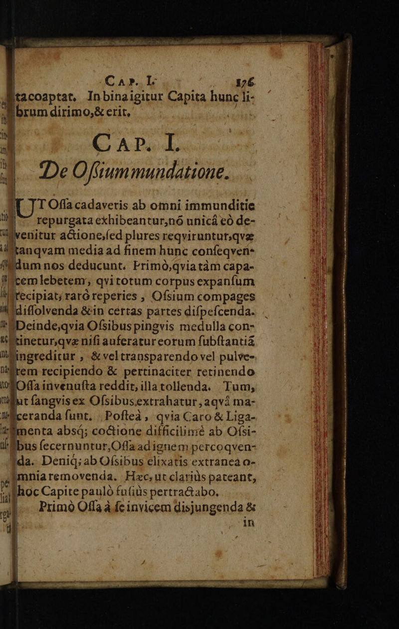       C A P». IL 176 à tacoaptat, Inbina igitur Capita hunc li- | oram dirimo;&amp; erit, (CAP. I. De Offtummundatione. [ CS in cadaveris ab omni immunditie ii ^^ repurgata exhibeantur,nó unicá €ó de- a [ruina acuone(ed plures reqviruntur,qve tanqvam media ad finem hunc confeqvene llddum nos deducunt. Frimó,qviatàm capa- lllcemlebetem; qvitotum corpus expanfum il recipiat; raró reperies , Ofsium compages ldiffolvenda &amp;in certas partes difpefcenda. 4 Deinde;qvia Ofsibus pingvis medulla con- V etinetur,qve nifi auferatureorum fubftantia Wingreditur , &amp; veltransparendo vel pulve- irem recipiendo &amp; pertinaciter retinendo 19M fa invenufta reddit; illatollenda. Tum; nlla fangvisex Ofsibus.extrahatur,aqvá ma- Tl ceranda funt, |Pofleà, qvia Caro &amp; Liga-  pena absd; coctione difficilinmié ab Ofsi- i bus (ecernuntur,Ofla ad ignem percoqven- da. Denid; ab Ofsibus elixatis extranea a- Imniaremovenda. Hzc,ut clariüs pateant,                 ) hoc Capite pauló futiüs pertractabo. 4| Pumo Offa à fc invicem disjungenda &amp; 5l in ——MÓÀM— —— M M —— EMT uns ANE A Ct mar rt at ig (e s Ieri pde tenente aH nne p ORA. o Sip res I GL OMM SIN banh i toi m———Á— ^H RNMANNFOS aas. iithmeniói nca diii o sao ARR MUR OO. AB MNA Bh p. ipn oin reti