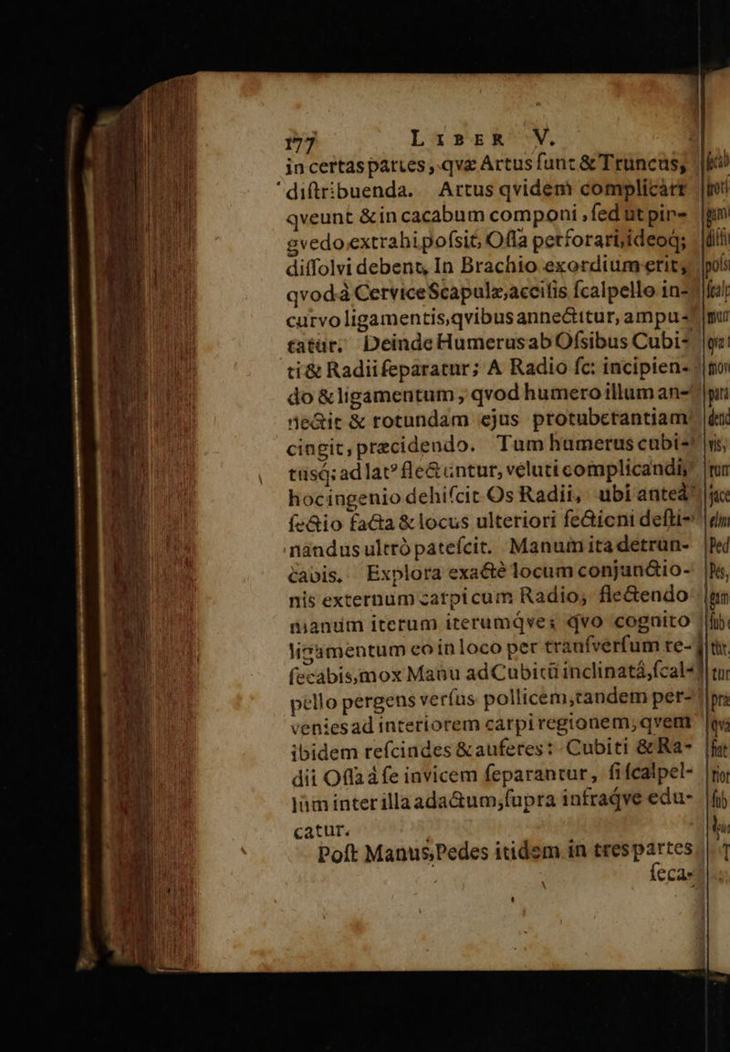 jn certasparces ,.qvz Artus func &amp; Truncus; [c10 diftribuenda. Artusqvidem complicàrr |I qveunt &amp;in cacabum componi , fedutpir- |pm gvedoextrabipofsit; Offa petforarijideoqs - dif diffolvi debent, In Brachio exordium etit; pols qvodà CerviceScapulz;accitis fcalpello in-tiftal curvo ligamentis,qvibus annectttur, ampu mu £atür, DeindeHumerusabOfsibus Cubi* ge ti&amp; Radiifeparatur; A Radio fc: incipiens /|mo do &amp;ligamentum , qvod humero illum an-'|pii ne&amp;it &amp; rotundam ejus protubcrantiam: dá cingit, precidendo. Tum humerus cubi-! v tüsé; ad lat? le&amp;untut, veluti complicandis hocingenio dehifcit.Os Radii, ubi anteá'||; fe&amp;io facta &amp; locus ulteriori fe&amp;icni defti-| nàndus ultró patefcit. Manum ita detrun- tCavis. Explora exa&amp;té locum conjun&amp;io- nis externum zatpi cum Radio; fleGendo: [ni nianum iterum iterumáves qvo cognito li. lisumentum eoinloco per tranfverfum re-] fecabis,mox Manu adCubitü inclinatá,fcal« pello pergens verfus pollicem,tandem per- veniesad interiorem carpiregionem, qvem [oy ibidem refcindes &amp;auferes:- Cubiti &amp; Ra- | dii Offla fe invicem feparantur, fifcalpel- jim interillaada&amp;um,;fupra infrajve edu- catur. | Poft Manus;Pedes itidem in mos : | cae 