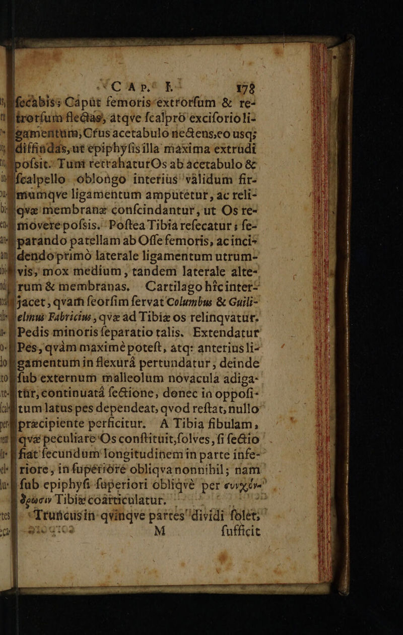  OCA p,^ E 178 Mechbis: Gápàt femoris-extrorfum &amp; re- troríum fledtag, átqve fcalpró exciforioli- fenentum; crus acetabulo nedens;eo usq; JMdiffindas,ut epiphyfisilla máxima extrüdi i gom Tunt retrahaturOs ab ácetabulo &amp; Mfcalpello. oblongo interius vàlidum fir- Zmumqve ligamentum amputetur, ac reli- !Égva'membranaz confcindantur, ut Os re- 2 jmovere pofsis. Poftea Tibia rete citurt fe- i parando patellam ab Offe femoris, ac inci^ in queunto primó laterale ligamentum utrüm- ivis, mox medium , tandem laterale alte- irum &amp; membranas. Cartilago hicinter- 1 jacet, qvam feorfim fervat Columbus &amp; Guili- jj Telinui Fabricim ,qva ad Tibiz os relinqvatur. FPedis minoris feparatio talis. Extendatur B Pés, qvàm maximé poteft, atq: anteriusli- v| Esamenturm in flexurá pertundatur , deinde Efub externum malleolüm novacula adiga- tAftür, continuat fe&amp;ione, donec in oppofi- uf tum latus pes dependeat, qvod reftac nullo:                  - —— p mr TET Je Jas adbti a iS RR Inr PH M pad occ titt UMS SO UNS P ai Up A qt aaa Nd —