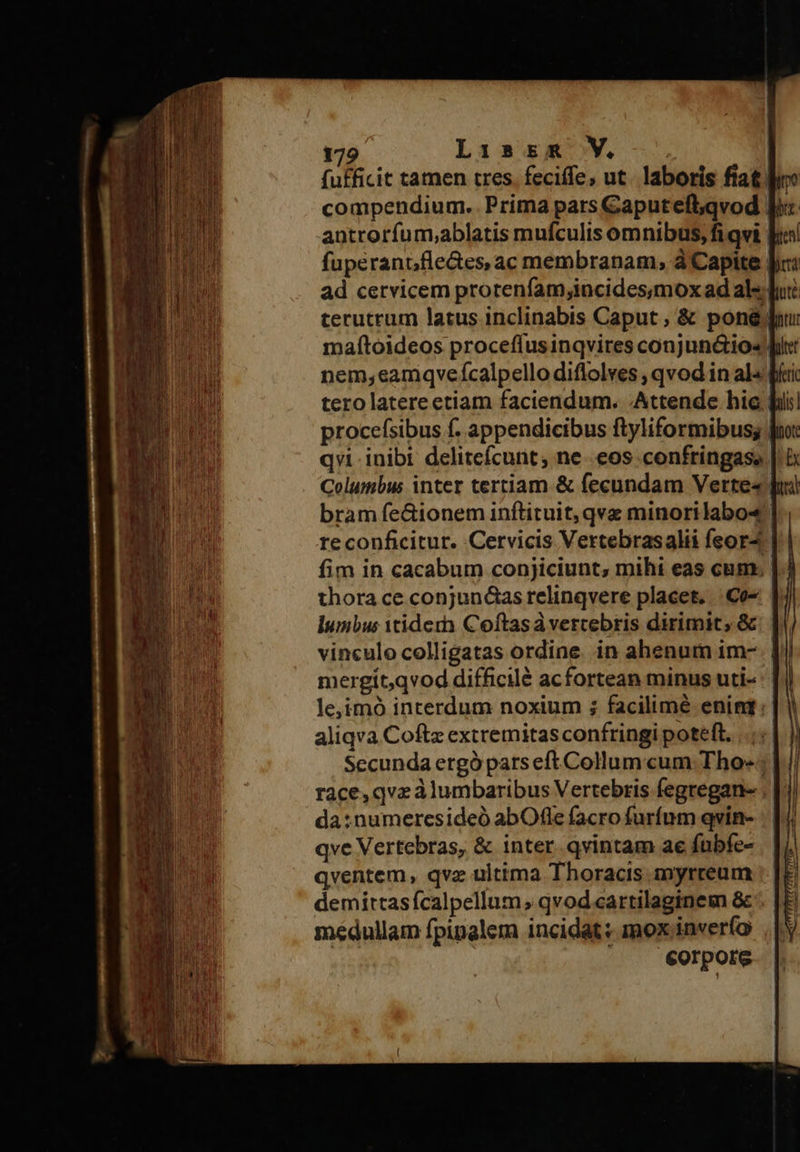 fufficit tamen tres. feciffe, ut. laboris fiat l compendium. Prima pars Caputefb;qvod Jy: antrorfum;ablatis mufculis omnibus, fi qvi | fupérantfle&amp;es, ac membranam, à Capite Jc: ad cervicem prorenfam;incidesumoxad als fut terutrum latus inclinabis Caput , &amp; pon&amp;. maftoideos proceflusinqvires conjun&amp;io« nem;eamqveícalpello diflolves , qvod in al] tero latere etiam faciendum. Attende hic phi procefsibus f. appendicibus ftyliformibus; | qvi inibi delitefcunt; ne eos confringass Columbus inter tertiam &amp; fecundam Verte« d bram fe&amp;ionem inftituit, qve minorilabo« | re conficitur. Cervicis Vertebrasalii feor4. fim in cacabum conjiciunt, mihi eas cum. | thora ce conjun&amp;las relinqvere placet, €e- | lumbus vtiderh Coftasàvercebris dirimit; &amp; | vinculo colligatas ordine. in ahenum im- | mergít,qvod difficilé acfortean minus uti- | le,imó interdum noxium ; facilimé enint: aliqva Coftz extremitas confringi poteft, Secunda ergó pars eft Collum cum. Tho ; race, qvzàlumbaribus Vertebris fegregan- da:numeresideó abOfle facro furfum qvin- qve Vertebras, &amp; inter. qvintam ae fübfe- qventem, qvz ultima Thoracis myrreum demittasícalpellum ; qvod cartilaginem &amp; medullam fpipalem incidat: mox inverío | |  e eorpore  