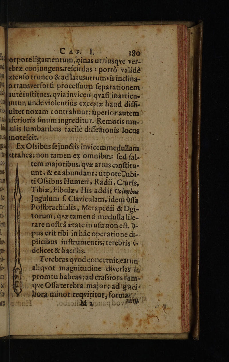 T UA apt ?Ti 1890 i jorporéli&amp;amentum oinas utriüsqve ver: Xd ebtz conjungensirefcitdas : porró valide ll Ixtenfo trunco &amp;adlatusutrumvis inclina- I lo rrapsverfot&amp; proceffaum fepatationem lila ute inftitues, qviainvicem qvafi ibarticae üWinttur, unde violentiàs exce»te haud diffi-: lo fulter noxam contrahan:t: liperiorautem dMhaferioris finum ingreditur. Remotis mu- liiemlis Jumbaribus facilé diffz&amp;ionis locus uhnotefcit. : - | | |! Ex Ofsibüsfejun&amp;is invicemmeduülflata Itrahes; non tamen ex omnibin: fed fal- | tem majoribus; qve artus onftitu- unt; &amp; eaabundant; utpoteCubi- ti O(sibus Humeri, Rádii , Cairis, Tibiz;Fibules His addit Celmbus Jugulum f. Claviculam, idem Qffa Pofibrachialis, Metapedii &amp; Dgi- torum;qvxetamena medulla lile- rare noflrá etate in ufu non eft. 9- : pus erit tibi in hác operatione dr- plicibus inftrumentis; terebrig v- delícet &amp; bacillis. | Terebras qvod concernitearun aliqvot magnitudine divetfis in promtu habeas;ad cra(siora raim- qve Offaterebra major; ad 'gaci: ^5 liora minor:reqviritar; forma... r . Ma j1 109 E y 