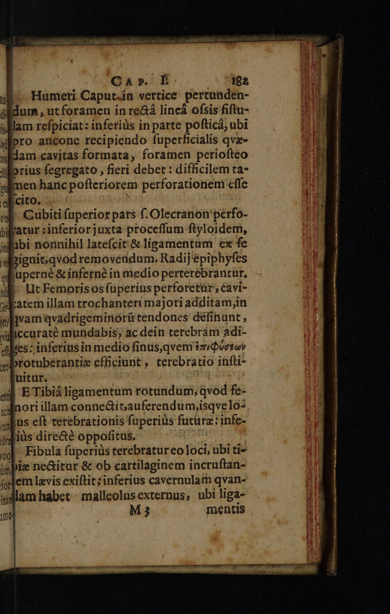 Humeti Caput.in vertice: pertunden- Bidum , utforamen in re&amp;2 lineá ofsis fitu- lam refpiciat: inferius in parte pofticá, ubi «pro ancone recipiendo fuperficialis qvz- widam cavitas formata, foramen periofteo ilprius fegregato , fieri debet : difficilem ta- amen hanc pofteriorem perforationem cfe alcito. 4 Cubitifuperior pars f. Olecranon'perfo- llatur :inferiorjuxta proceffum ftyloidem, Wibi norinihil latefcit &amp; ligamentum ex fe bieniG;qvodremoveadum. Radij'épiphyfes «:Ruperné &amp; inferne in medio perterebrantur, WE. Ut Femorisos (fuperius perforetür; cavi- Katem illam trochanteri majori additam;in jvam qvadrigeminorü tendones deéfinunt , iccuraté mundabis; ac dein terebram adi- dies: inferius in medio finus,qveni tz«Qvetoy dbrotuberantiz efficiunt , terebratio infti- uitur. JA. ad ETibiáligamentum rotundum; qvod fe- uilinori illam conne&amp;ioauferendum,isqvelo: smpus eft terebrationis fuperiüs futürz: infe- iis dire&amp;é oppofitus, | Fibula fuperiüs terebratureo loci, ubi ti- jnpie ne&amp;itur &amp; ob cartilaginem incruftan- (ylem lavis exiftit inferius cavernulam qvan- uillam habet - malleolusexternus, ubi liga- ! M 2 Imentis e cete t m y ig RR nitri bein IVREHBNPATEMAQABL DIA on A me Nl p Sit SM ras ni p 