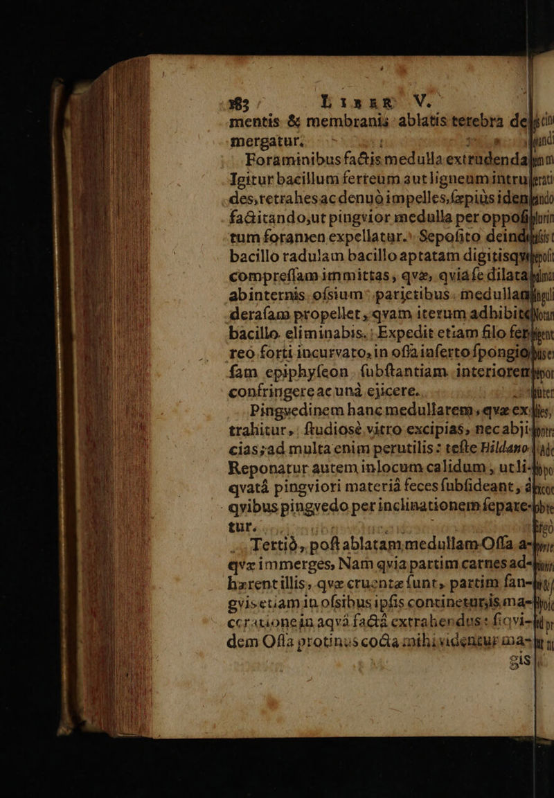     185 Lisam V. | mentis &amp; membranis ablatis terebra deljc mergatur. dyinc Foraminibus factis medulla extrudenda                              em tri Igitur bacillum ferteum autlignenmintru[ext des,retrahesac denuo impelles.xpius idenjando faGitando;ut pingvior medulla per oppofijlurin tum foramen expellatur.* Sepofito deindiliiir: bacillo radulaum bacillo aptatam digitisqvipoiíi compreffam immittas , qvi, qviáfe dilatabini abinternis. ofsium parietibus. medulla ag deraíam propellet ,'qvam iterum adhibitqNou bacillo. eliminabis. : Expedit etiam filo fenis reo forti incurvato; in ofla iaferto fpongiopue fam epiphyfeon. fubftantiam. interiorempuo conífringereac unà ejicere. s bate Pingvedinem hanc medullarem, qva ex Jie, trahitur, ftudiosé vitro excipias, necabjidor. cias;ad multa enim perutilis: tefte Bildano |t Reponatur autem inlocum calidum , utli-fy qvatá pingviori materiá feces fubfideant , dj . qvibus pingvedo per inclinationem fepare-py tur. *udd M | feo Tertio, poft ablatan;medullam.Offa az; qvzimmerges, Nam qvia partim carnes ad-Juj; hzrent illis;.qvz cruente funt, partim fan-irt) gvisetiam1n ofsibus ipfis continetunjis mali, ccrationein aqvà fa&amp;á extrahendus : fiavi- iy dem Ofla protinus coda mihixidenzur aas ly n gis | 
