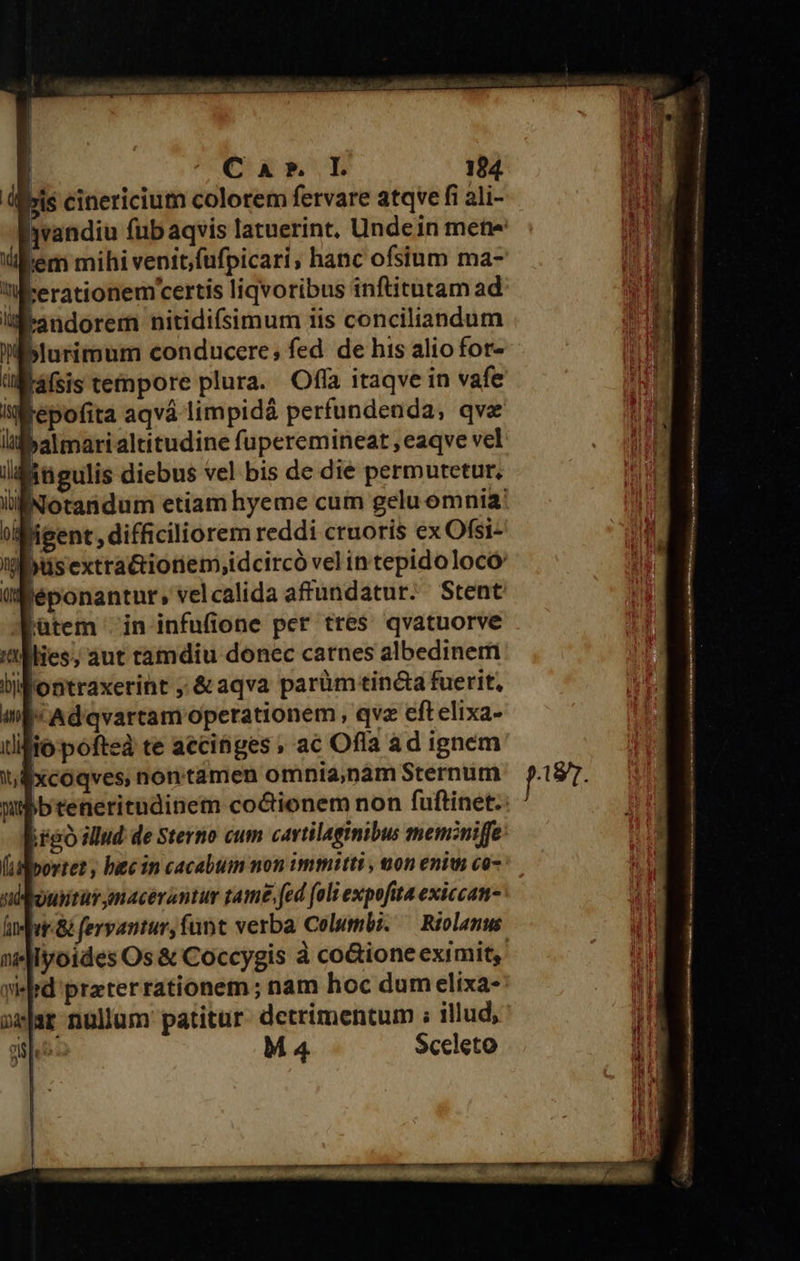 niblurirum conducere; fed de his alio for- ülafsis tepore plura. Ofla itaqve in vafe i: epofita aqvá limpidá perfundenda, qve Il »almari altitudine fuperemineat ,eaqve vel l&amp;itigulis diebus vel bis de die permutetur. Notandum etiam hyeme cum gelu omnia: Wigent, difficiliorem reddi cruoris ex Ofsi- ibus extra&amp;ioriem;idcircó vel intepidolocó: Wéponantur, velcalida afundatur. Stent lütem |in infufione per tres qvatuorve flies, aut tamdiu donec carnes albedinem lontraxerint &amp;aqva parümetinécta fuerit, mi* Adqvartam operationem , qve eftelixa- lio pofteà te aecinges » ac Ofla ad ignem i; 4xcóqves; non tamen omnia,nàm Sternum wbbteneritndinem co&amp;ionem non fuftinet. i60 iliud de Sterno cum cavtilaginibus memni ffe: ilportet , bec in cacabum non mmitti, von eniui co- siddouitür macévantur tame, fed (oli expofita exiccan- ur &amp; fervantur, funt verba Columbi. — Riolanus Iyoides Os &amp; Coccygis à coGione eximit, 'd przterrationem ; nam hoc dum elixa- 1r nullum patitur. detrimentum : illud, I M 4 Sceleto 
