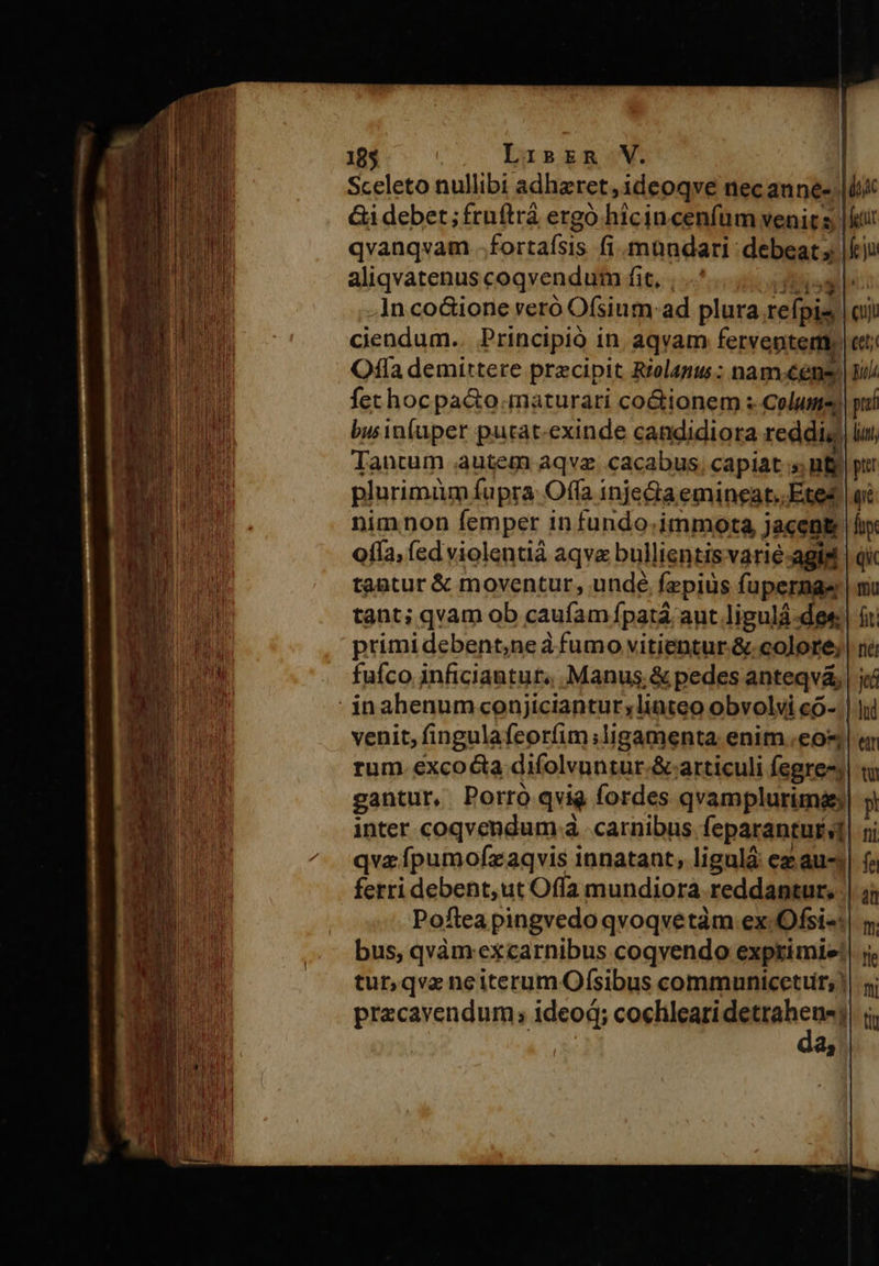 Sceleto nullibi adharet, ideoqve nec auné-| | Gi debet ; frnftrá ergo hiciu cenfum venit s qvanqvam fortafsis fi. mandari debeat; aliqvatenus coqvendum fit, In co&amp;ione veró Ofsium:ad plura refpis ciendum.. Principio in aqvam ferventer Offa demittere precipit Rtolamu ; nam cene fethocpa&amp;o.maturari co&amp;tionem : Colum) bu in(uper purat-exinde candidiora reddia) i lantum autem aqvz. cacabus capiat  ut plurimàm fupra Offa inje&amp;aemineat,. Etes nimnon femper in fundo: immota jacent offa, fed violentià aqva bullientisvarié-agis tautur &amp; moventur, undé fepiüs fupernae tant; qvam ob caufam fpatá aut ligulá-de« primidebent,neá fumo vitientur.&amp;.colore; fufco inficiantur, Manus; &amp; pedes anteqvá, inahenum conjiciantur,liateo obvolvi có- | venit, fingulafeorfim ligamenta enim .eo« rum. excoéta difolvuntur.&amp; articuli fegrez; gantur, Porro qvig fordes qvamplurimá inter coqvendum à carnibus feparanturs? qvz fpumofzaqvis innatant, ligulá ez au-j ferri debent, ut Offa mundiora reddantur. Poftea pingvedo qvoqvetàm ex. Ofsi«: bus, qvàm excarnibus coqvendo exprimi: tur, qva neiterum Ofsibus communicetuir;) przcavendum; ideod; cochleari detraheus; da; 