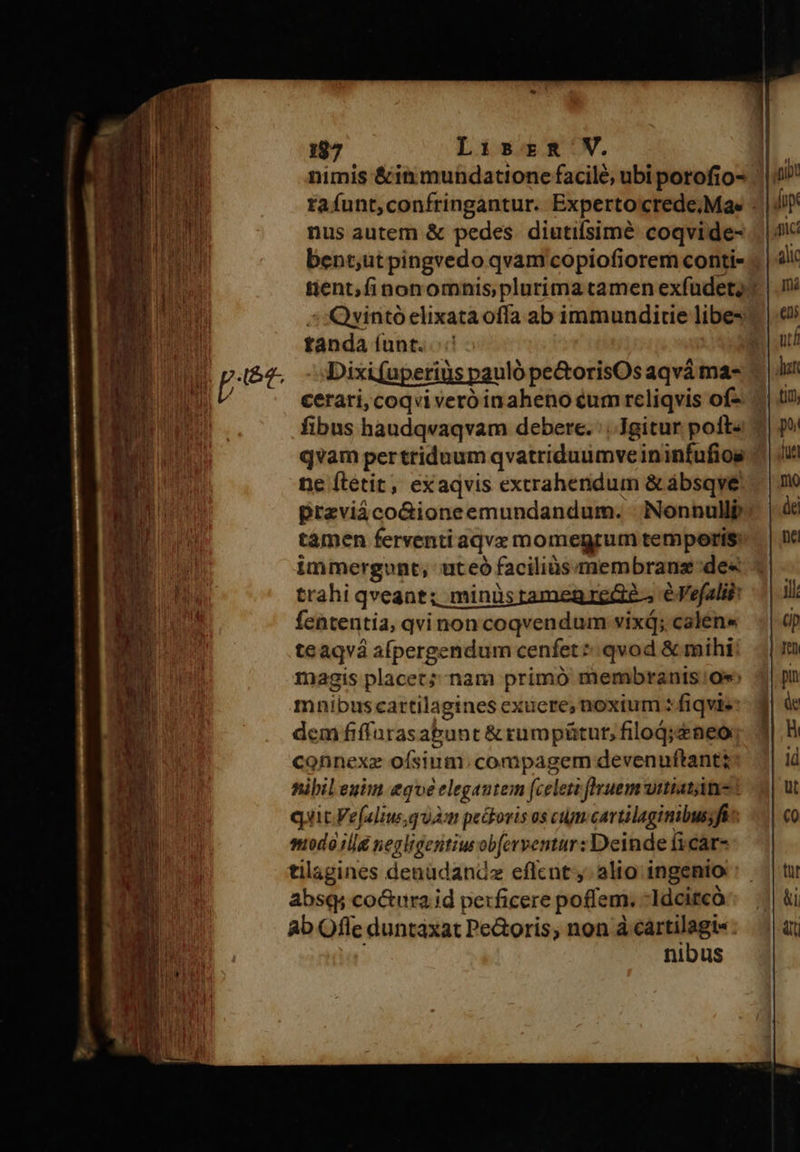 18^ Lisrmxm V. nimis &amp;in mundatione facile, ubi porofio- tafunt,confringantur. Expertocrede.Mae - nus autem &amp; pedes. diutilsimé coqvide- bent;ut pingvedo qvam copiofiorem contis ; tient;finonomnis plurima tamen exfudet?) : Qyintó elixata offa ab immunditie libe- tanda (unt. Dixi (uperiüs pauló pe&amp;orisOs aqvá ma- cerari, coqvi veró inaheno éum reliqvis of- fibus haudqvaqvam debere. | Jgitur poft qvam per triduum qvatriduümveininfufios ne (tetit, exaqvis extrahendum &amp; ábsqve previáco&amp;ioneemundandum. Nonnullp tamen ferventi aqvc momegrum temporis: immergunt; uteó faciliüs membranz de« trahi qveant; minüsrameg rede. e e Vefalii: fententia, qvinon coqvendum vixd; calene teaqvá afpergendum cenfet? qvod &amp; mihi: magis placet;-nam primó membranis oe mni ibuscattilagines exuere, noxium : fiqvis dem fiffurasabunt &amp; rumpütut, filoq; neo; connexz ofsium.compagem devenuftant; nibil euim eqve elegautem (celeta flvuem uttiatime modo illé negligentius ob[erventur : Deinde ficar- tilagines denüdandz eflent. alio ingenio absq; coctura id perficere poflem. Idcitcó ab Offe duntaxat Pe&amp;oris; non à cartilagi- nibus 