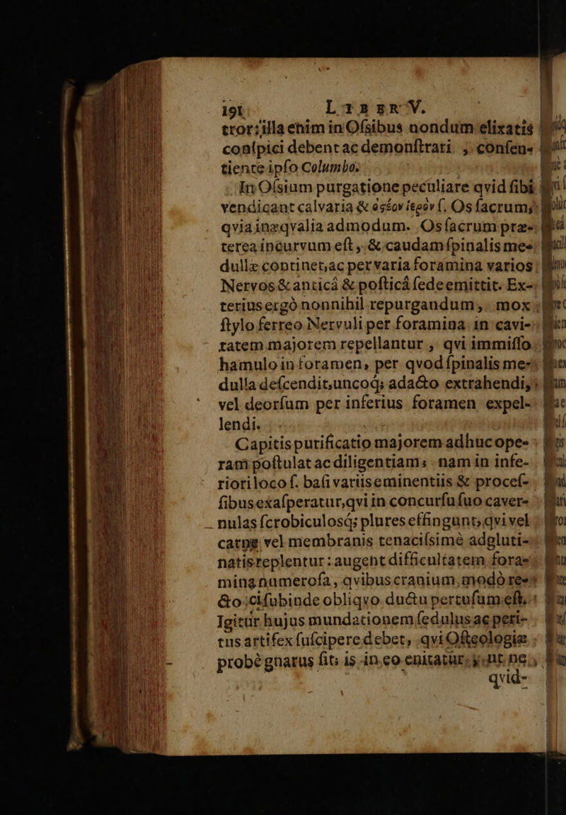  | J                                 191 Lisrznx V. | tror:illa enim inOfsibus nondum elixatis | ai conlpici debencac demonftrari. ;. confen- tiente ipfo Columbo. i In O(sium purgatione pecüliare qvid fibi Bi BU vendicant calvaria &amp; sov ieaóv f. Os facrumj bli No qviainzqvalia admodum. .Osfacrum pre- B terea ipéurvum eft ,.&amp; caudam ípinalis me« dullz continet;ac per varia foramina varios | Bo Nervos&amp;aniicá &amp; pofticá fedeemittit. Ex-: B teriusergó nonnihil repurgandum;. mox B ftylo ferreo Nervuli pet foramina 1n cavi- tatem majorem repellantur ,' qvi immiffo. P hamuloin foramen, per qvod fpinalis me- dulla defcendit,uncoq; ada&amp;o extrahendi;; B s vel deorfum per inferius foramen, expel- END o lendi. . . ! n Capitispurificatio majorem adhuc ope- ram poftulat ac diligentiam: . nam in infe- rioriloco f. ba(ivariiseminentiis &amp; procef- fibusexafperatur,qvi in concurfu fuo caver- nulas fcrobiculosá; plures ef&amp;ngunt;qvi vel catpg vel membranis tenaciísimé adgluti- natisreplentur : augent difficultatem foras ming numerofa, avibuscranium,modó ree &amp;o:cifuübinde obliqvo. du&amp;u pertufum eft. : Igitür hujus mundationem (edulus ac peti- | tus artifex fufcipere debet, qvi Ofteologie ; | |- probé gnarus fit; is in eo enitatur, jont ks ; Ju qiu   