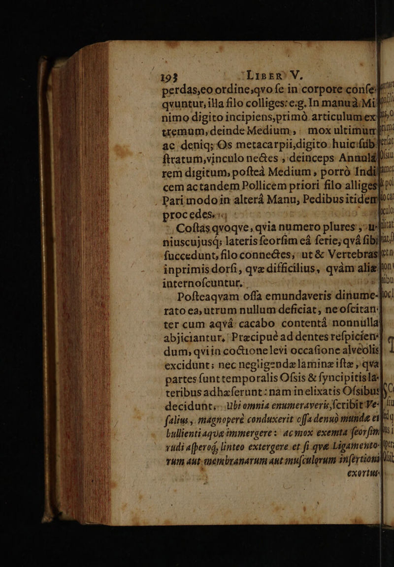 perdas,eo otdine;qvo fe in corpore confe qvuntur, illa filo colliges:e:g. In manua: Mi] nimo digito incipiens;primó articulumex] tremüum,deinde Medium: mox ultimum! ac deniq; Os metacarpii digito. huicifüb: eti fttatum,vinculo ne&amp;es deinceps Anunlá[/s rem digitum; pofteà Medium ;, porró Indi cem actandem Pollicem priori filo alligesf i? Pari modoin alterá Manu, Pedibus itidetr] proc edes«:« x internofcuntur, ; dion Pofteaqvam offa emundaveris dinume- ratoea,utrum nullum deficiat, neofcitan;| ter cum aqvá: cacabo contentá nonnulla| abjiciantur, Przcipué ad dentes refpicien dum; qviin co&amp;ionelevi occafione alveolis| excidunt; nec negiigendzlaminz ifte qva] partes funt temporalis Ofsis &amp; fyncipitis la. teribus adhaferunt: nam inelixatis Ofsibus Y decidunt. Ubi emnia enumeraveris fcribit Ve: falis. magnopere conduxerit c[fa denuo munda ei! bullientiaqua àmmergeres: ac nox exemta feovfim| vidi a(pevod, linteo extevgeve:et fi qve Ligamento-It vum Aut tiembramarum aut inu(culovum Tn fertioti exortus 