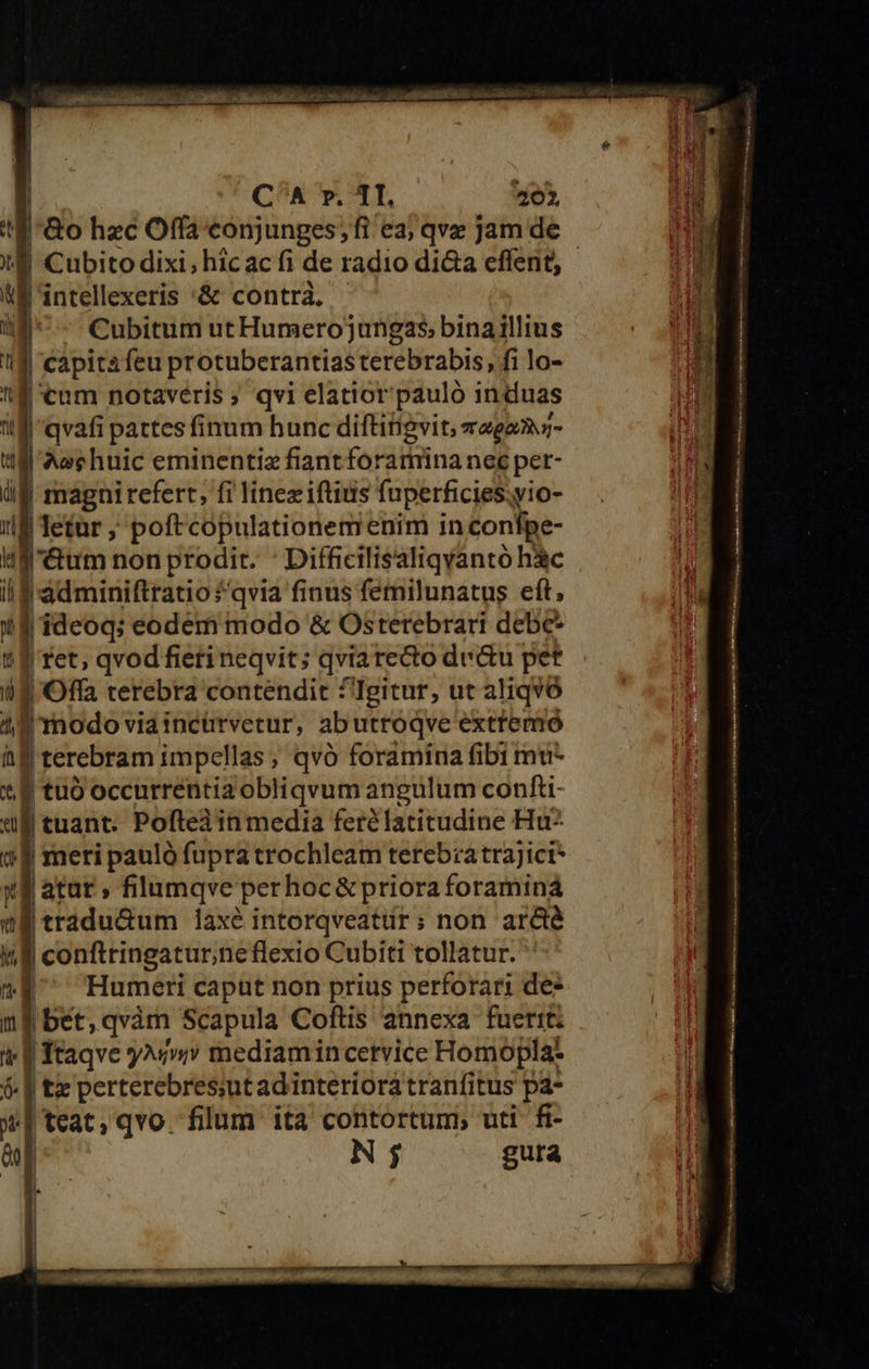                             | C^A r. 1I. 202 Go hzc Offa'conjunges;fi ea; qve jam de Cubito dixi, hicac fi de radio di&amp;a effent, f 'intellexeris :&amp; contrà. - | - Cubitum ut Humerojungas bina illius capita feu protuberantias terebrabis, fi lo- ''É tum notaveris ; qvi elatiorpauló induas ' | qvafi pattes finum hunc diftitigvit, vagam;- ill Aechuic eminenti fiant foramina nee per- if magnirefert, fi linez iftitis fuperficies;yio- 1ifl etur ; poftcopulationemenim in confpe- |: '&amp;um; non prodit. ' Difficilisaliqvantó h&amp;c il | adminiftratio qvia finus femilunatus eft, 1 4 fdeoq; eodem modo &amp; Osterebrari debe* t f Tet, qvod fieti neqvit; qvia recto de&amp;u pet i$ 'Offa terebra contendit ?'Igitur, ut aliqvó 4 | modo via incürverur, a abutroqve' exttenmró fa| | terebram impcllas ; qvó foramina fibi mu * E tuo occurrentia obliqvum angulum confti- «ll tuant. Pofte3in media ferélatitudine Hu | | meri pauló fupra trochleam tereb:atraJici* |atut, filumqve perhoc&amp; priora foraminá el tradu&amp;um axe intorqveatur; non ar&amp;é / | confttingatur;ne flexio Cubiti tollatur. ^E Humeri caput non prius perforari de- n] bet, qvàm Scapula Coftis annexa fuerit: t | ftaqve y^» mediamin cervice Homopla- $ | (te perterebres;ut ad interiora tranfitus pá* teat, qvo filum ita contortum» uti fi- N 5 guta c—— a  