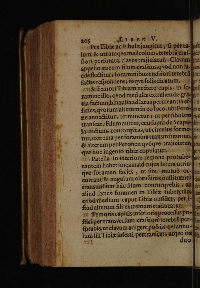 209 ^ mDr:strsg V. | ;Pes Tibiz ac Fibulzjungitut fi pér ta«| lüm.&amp; utrümqve malleolum, terebrá craf- fiori perforata, clavus trajiciatur. ; Clavumgi áppello aeneum filumcrafsiusqvod non f2-4; ciléfle&amp;itur: foraminibus cra(siori terebráflli: fa&amp;isrefpondens; iisqvefolisdicatum, - ^io; -1:S; FemoriTibiam ne&amp;ere cupis, in fosf ramineillo, qvod medullz extrahendz gradi tia fa&amp;um,binaaliaadlatus permeantia ef- ficies;qvorumalterum in eoloco, ubi Perosdr neanne&amp;itur, terminetur s ut per fibulamft tranfeat : Filum autem, ceu fupra de Scapusdió; Ia: di&amp;um; contorqveas, ut circulus formes|i tur,extrema per foramina transmittantutsl; &amp; àlterum perPeronen qvoqve trajiciatuts qv&amp;hoc ingenio tibiz copulatur. H Patella in interiore regione protube*, tàntem habetlineam;ad cujus latera utri] qve foramen facies , ut fibi mutuó ' oc- currant'&amp; angulum obtufüm conftituanti fe transmiffum hác filum *contorqvebis ; ac| 4liud facies; foramen in- Tibiz 1uberculoj, qvodrüedium 'caput Tibiz obfidet; per i- flud alterum fili-éxtremum ttaducatur,- s Femoris capitis inferiorisproceffus pom fticisper transveríum cra(siort terebrá per-| fotabis;ut clavumadigere pofsis; qvi annu- f. lum fili Tibiz inferti pertranícats ii: ita 