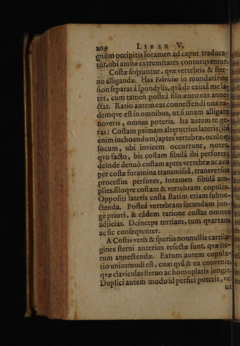 num occipitis foramen ad caput traduca: [iii cur,ubiam bz extremitates contorqventur. y ' Cofts (eQynntur, qva vertebris &amp; fter- icy noálligande. Has Fabriciu 1n mundatione [ii nion feparatà fpondylis,qváde ca usá me as ^ f tet; cum tamen poftea filo enco cas annes lici Gat. Ratio autemeas conne&amp;endi una eas dou demqve.eft in omnibus, ut fiunam alligate, qe fioveris , omnes poteris, .Ita autem te geli fas: Coftam primam alterutriuslateris(ibllo, enim inchoandum)aptes vertebra; oculogiltci focum, ubi invicem occurrunt, notes, qvo fado, bis coftam fibulà ibi perforess, deinde denuó coftam aptes vertebtzacacu Jr. per coftz foramina transmiísá, transveríos c proceffus perfores, foramen fibulà ame]; plies/filoqve coftam &amp; vertebram copules. |n; Oppofiti lateris cofta ftatim etiam fubne-]'« &amp;enda. Pofíteà vertebram fecundam jun-| ge priori, &amp; eádem ratione coftas omnes àdjicias. Deinceps tertiam, tum, qvartaDapi acfic confeqventer. Mae A Coftis veris &amp; fpuriis nonnullis cartilasfi, gines fterni anterius refecta funt, qveite-]: | rum anne&amp;endz. Earum autem copula-fr tio uniusmodi eft, cum qv &amp; ea'conyenit;]y qvz claviculasfterno ac homoplatis jungit.[In Dupliciautem modoid perfici poterit ; vello. ut| 
