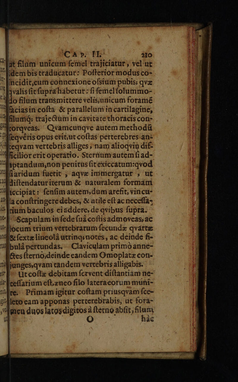 Tut filum unicum femel trajiciatur , vel ut lidem bis traducatur: Pofteriormodus co- * [incidit,cum éonnexione ofsium pubis; qvz li yvalis ficfüpra hábetur: fi femelfolummo- à Jo filum transmittere velisjuicum foramé Ma ciasin cofta &amp; parallelum in cartilagine; A Glumid: trajeGtm in cavitatethoraciscori- orqveas. Qvamcunqve autem methodü Ieqveris opus etit;ut coftas perterebres.an- [eqvam vertebris alliges ;-nam alioqvin di£- l'REcilior erit operatio. Sterimautem fiad- 'Msptandunisnon penitus Gtexiccatum:qvod Miaridum fuetit ; aqve imitnergatur , ut AWaiftendaturiterum &amp; naturalem formam ti Iccipiat: fenfim aütem;dum arefit; vin cu- /Mla conftringere debes, &amp; atile eft ac neceffa4 Trium baculos eiáddere, de qvibus fupra. '[--Scapulam infedefuá coftisadmoveas; ac li-flocum trium vettebrarum fecunda qvárte is» fexta lineolá utrinqsnotes , ac deinde fi- bulá pertundas. -.. Claviculam primó anné- Ies (terno;deinde eandem Omoplatz con- I fjungesqvam tandem vertebris alligabis. ^ ütcoftx debitam fervent diftantiam ne- ceffarium eft; zneo filo lateraeorum muni- jl ve. Primam igitur coftam priusqvam fce- B'lleto eam apponas perterebrabis, ut fora- men duos latos digitos à fterno abfit, iy / : o ác SEC UTe Si ta aT af E un tool uis eme o alt i c E T dre E P. a em ume DARET lue Ce i- drea Lu lem Nini S Ra e E cin m »* as etie... cai AB HSIS Ua is MEEIE n RNV Üben rtieeinii aeneus o D uas Rd s . Veirciteitteens tH PUNTI e UM. v ORI ing MEE OI M SP Sito 