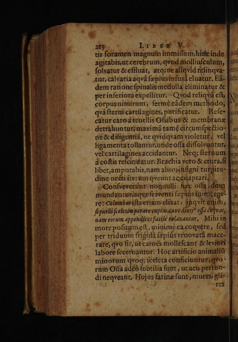 tis foramen magnum immiffnm,hirlc inde agitabisut cerebrum; qvod molliufculum, folvatur &amp; effluat, atq; üealiqvid relinqva-- tur, calvatiaaqvá fepiüsinfusà eluatur, Eà- dem rationefpinalis medulla eliminatur &amp; perinferiora expellitur. Qvod reliqvü eft, | corpusnimirum; ferméeàdem methodo; qvá fternicartilagines, purificatur. ;Refe- catur carodtencellis Ofsibus'&amp; membranz. ligamentatollantur,unde offa diffolvuntur, libet,amputabis,nam absosihfigni tutpitus dine ne&amp;iitertim qveunt agCgaptarig | J)Gonfveverunt: nonuulli: faic offa ; dam iundantutjaqve ferventi (x piüsimtüerge: | ret Columbusiftaetiam elixat; ihqvit enim; , fipuelli celetóm pavare eupiasscave diuti? offa etwas, sam eorum appehdices facile felaxantur,/ Mihiim | mote pofitimelt, miniméeacoqvere, fed | per triduum frigidá fepiüs renovat mace- rate; qvo fit; ut carnes mollefcant &amp;leviori $, minotüm qvoq; íceleta conficiuntutiqvo * | ràm Offa adéó fubtilia futit ; ucacu perttn- | ditieqveant, Hujus faring funt, mures; gli»! | res | 