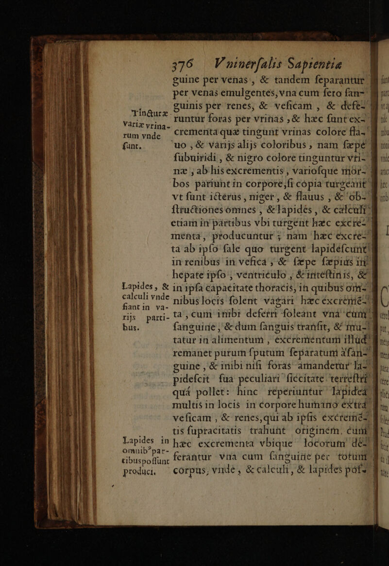 —'Áo e m (€ E guine per venas, &amp; tandem feparantur | per venas emulgentés, vna cum feto fan- n cuinis per renes, &amp; veficam , &amp; defe- | Tin&amp;urz.? | Varig vri, UE foras per vrinas ,&amp; m funtex- | rum vnde — Ciemerita quz tingunt vrinas colore fla. funt. 'uo , &amp; varijs alijs Jotofbis ; nam fepe | fübuividi , &amp; nigro colore tinguntur vti- | nz ab hisexcrementis , variofque rmor- | bos pariunt in corpore, fi cópia turgeanit | vt funt ictérus , niger , &amp; flauus , &amp; 'ob:' ftru&amp;iones omnes , ;'&amp;'Tapidés, &amp; calculi | etiam in partibus vbi turgent hac excré-'] mehta, producuntur ; nam hzc excre-'] ta ab ipfo fale quo turgent lapidefcunt! in renibus in vefica ;&amp; fxpe fepius in| hepate ipfo , ventriéulo , &amp;' mnteftinis, &amp; | Lapides, &amp; in 1pfa capacitate closed ih quibus orm- | calculi vnde. cibus 15cis folent vágárt hac éxcrémié-!] fiantin va- | bus. fansüidé; &amp; dum fanguis tranfit, &amp; frui] remanet purum fputüin feparatum Xfan- guine , &amp; inibi nifi foras amandetur a7] quá pollet: hinc réperiuntur lapided: | multis in locis in corpore humano exttád | tis fupracitats trahunt originém, cuni B Res in hec excrementa vbique idiofütg dé2 Omni par- P tibuspoffunt ferantur vna cum fanguitie pec. totuni 1 produci, — corpus, vnde, &amp; calculi , &amp; lapides pafs |