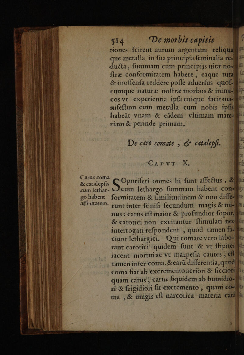 €«Carus.coma &amp; catalepfis «um lethar- go habent affinitatem. tiones Ícirent aurum argentum reliqua| que metalla in fua principia feminalia re-] ducta , fummam cum principijs uitz no«| ftra NYC NENOAI NS habere, eaque tuta &amp; inoffenfa reddere polle adtie Hs quof. cumque naturz noflrz morbos &amp; inima- cosvt experientia ipficuique facitmas mifeflum cuim metalla cum nobis ipfisi habeat vnam &amp; eádem vltimam mate« riam &amp; perinde primam. De caro comate , e» catalepfi. (CAPVT X, Gm iticile &amp; fi VETINODES E &amp; non diffe4 nus: carus eft maior &amp; profundior fopot ciunt lethatgici. Qui comate vero labo-B: | rant carotici- quidem funt &amp; vt flipitesg iacent mortuiac vt marpefia cautes , n r— —M———Ó—— ÓÜm 7 t4 T — RSS 1 din