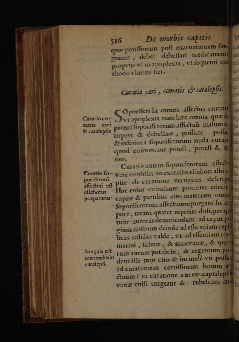 T E or eR ET * ———— EIÓLTE———á s De enorbit capitis poft euacuationem fan| debellari: medicamenti] $t£6 qua potiffimum » á E! E Iq. za - CX30315 4, € icbetr rw. proprijs vrin apoplexia , vt fequenti 1e shodo clarius fier. | Curdiio cari , c0matis e? catalepjis- | Oporifeni hi omncs affe&amp;us curant] Curatioco- , 7 matis cari s; caralepts PI6T 35foporiferorum affe&amp;tui. analum 6j Pa caralep 6s €. TUE  ürpase &amp; debellare , potiunt : poffu &amp;infedora foporiferorum :nala «urat quod emmamans poteft , poteft &amp;. m PEN | Curaioautem foporiterorum affe&amp;] Curatio fo- ere confillit in extracto ellebori albi poriterorir * : : MM d ER Penes eg PMe de €urauonc vertiginis defcripil elleborus Hoc enim extradum potenter educit] prrparatus' capsre &amp; partibus ems materiam ommd » p J . e VAGAD AA marini , faluiz , &amp; snayoranz , &amp; qui Sanguis €t. ci aurum potabile, &amp; argentum po mittendtstmn (ue pilar dede. j dentilli tuto cito &amp; iucunde vt poffui catalepfi. | ] ad curationem | certi(fumam horum, ali | ^il im aunt m iia bit plur tol 3 qm lin Ir Al E ltr D fl