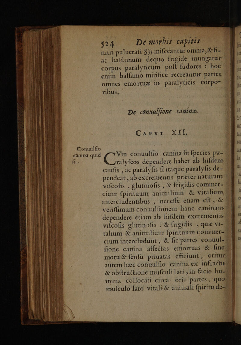 e —Q n in—Ó ue aH ÓM f$ nitri puluerati 5jj.mifceantur omnia, &amp;fi- at balfamum:) dequo frigide inungatur corpus paralyticum poft fudores : hoc enim balfamo mirifice recreantur partes ribus. De conuul[ione cABIu4. (C xvTyvT2XL Vm conuulfio . canina fit fpecies pa- ralyfeos dependere habet ab hifdenz caufis , ac paralyfts fr taque paralyfis de- vifcofis , glutinofis , &amp; frigidis commer- cium fpirituum animilium. &amp; vitalium intercludentibus , necefle etiam. eft ,-&amp; veriffimum conuulfionem hanc. canrnamy dependere etiam ab hifdem excrementis vifcofis glutinofis , &amp; frigidis , quz vi- talium. &amp; animalium fpirituum comaner- cium intercludunt , &amp; fic partes conuul- (one canina affectas emortuas &amp; Íine motu &amp; fenfu priuatas efficiunt, orrtur &amp; obftru&amp;ione mufculi lati ; ix facie hu- mana collocau circa. oris partes, quo