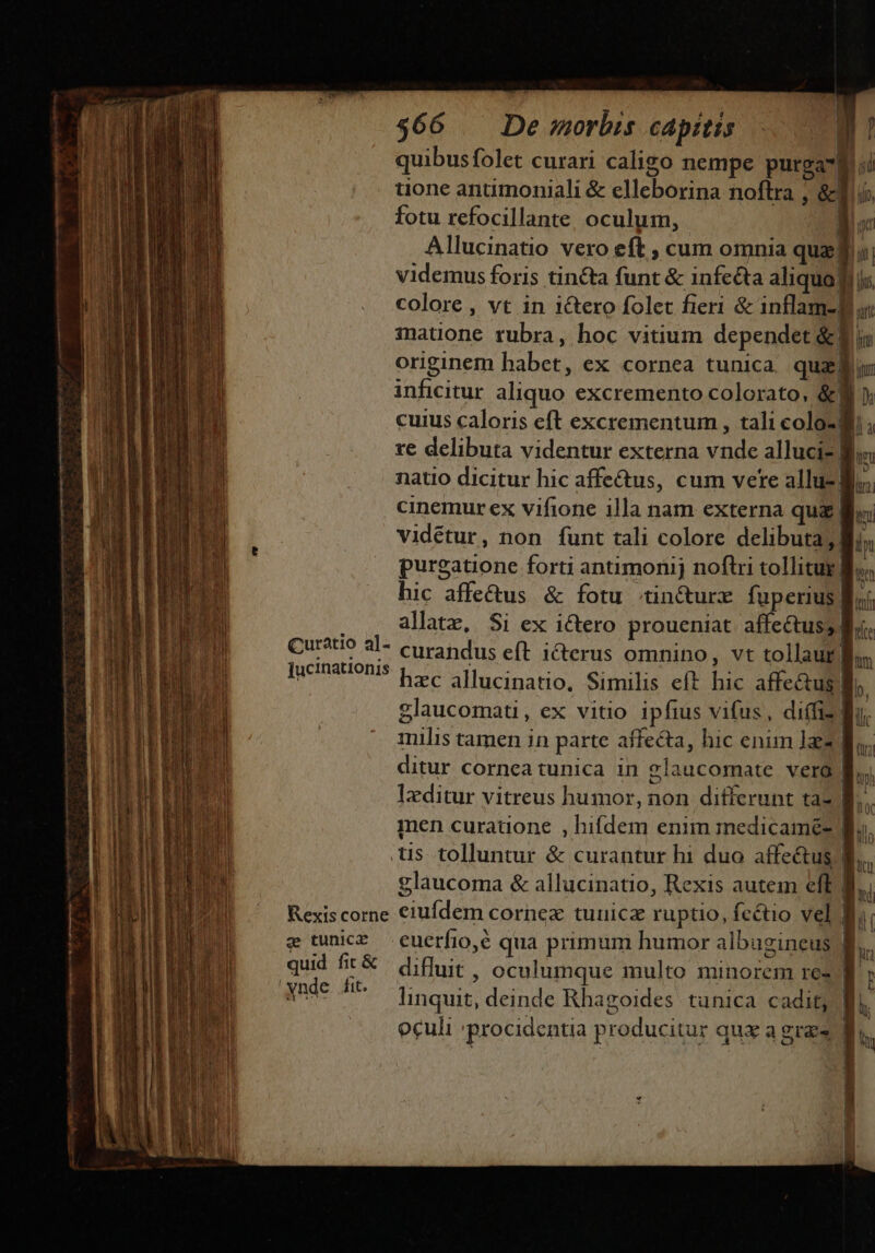 $66 | De morbis capitis | quibusfolet curari caligo nempe purgaf uone antimoniali &amp; elleborina noftra , &amp; fotu refocillante, oculum, | Allucinatio vero eft ; cum omnia quz; videmus foris tinta funt &amp; infcéta aliqua] colore , vt in i&amp;tero folet fieri &amp; inflam- Bi, matuone rubra, hoc vitium dependet &amp;. originem habet, ex cornea tunica. qux inficitur aliquo excremento colorato, &amp;| cuius caloris eft excrementum , tali colo- i re delibuta videntur externa vnde alluci- B natio dicitur hic affectus, cum vete allu- B. cinemur ex vifione illa nam externa qu&amp; vidétur, non funt tali colore delibuta; purgatione forti antimonij noftri tollitur, hic affe&amp;us &amp; fotu «tin&amp;urz fuperius allatz, Si ex ictero proueniat. affectus B curandus eft icterus omnino, vt tollaut B. hzc allucinatio. Similis eft hic affe&amp;us li glaucomati, ex vitio ipfius vifus, diffi: milis tamen in parte affecta, hic enim l2 M. ditur cornea tunica in claucomate vera lxditur vitreus humor, non differunt taz B. men curatione , hifdem enim medicaméz lo. us tolluntur &amp; curantur hi duo affe&amp;us B. glaucoma &amp; allucinatio, Rexis autem eft. Rexiscorne €iufdem cornex tunica ruptio, fectio vel | g tunice euerfio,é qua primum humor albugineus B quid fit&amp; d;ffuir , oculumque multo minorem res B Ande fi linquit, deinde Rhagoides tunica cadit, oculi -procidentia producitur qux a gras Bf. mtsent ih gt it t - Curatio al- ]ucinationis Met inae dius