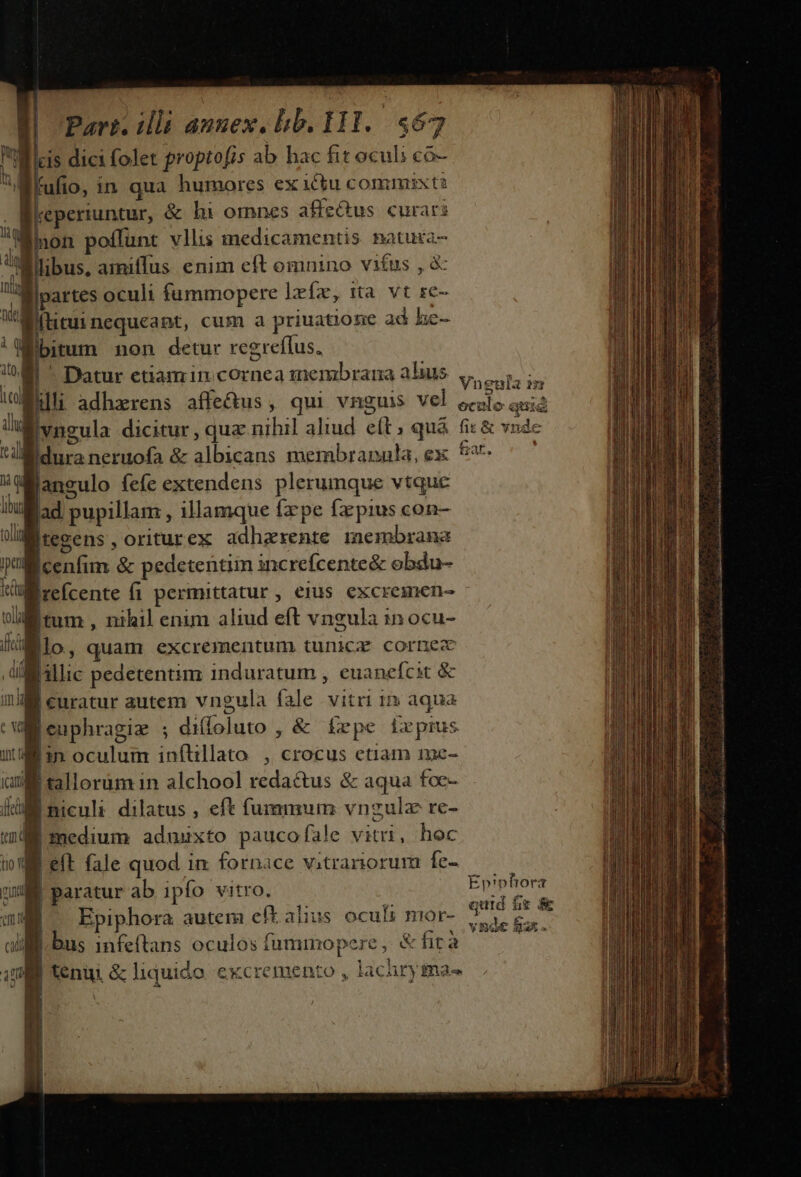 licis dici folet proptofis ab hac fit oculi co- M iufio, in qua humores ex ictu comumixt2 : keperiuntur, &amp; hi omnes affe&amp;us curari Binon poffunt vilis medicamentis natura- Milibus, amiffus enim eft omnino vitus , &amp; Wipartes oculi fummopere |efz, ta vt rc- Wiftinuinequeant, cum a priuatione ad bhe- Eibitum non detur regreflus. W Datur etiamin cornea inembrana alius OMS adhzrens affe&amp;us, qui vnguis vel vngula dicitur , qua nihil aliud. eft ; quà dura neruofa &amp; albicans membrapula, ex Wlangulo fefe extendens plerumque vtque Mad pupillam , illamque fxpe fzpius con- Witegens, oriturex adhzrente rmaembrana cenfim &amp; pedetentiin increfcente&amp; obsdu- Bitum , nihil enim aliud eft vngula inocu- illic pedetentim induratum , euanefcit &amp; curatur autem vngula fale vitri is aqua M euphragie ; diffoluto , &amp; fepe ixpius Im oculum inftillato , crocus etiam 1ne- B tallorüm in alchool reda&amp;us &amp; aqua foc- | L ?  - E | | medium admuxto paucofale vitri, hoc WM elt fale quod in fornace vitrariorum fe- 1 | Epiphora autem eft alius oculi nior- li bus infe(tans oculos fummopere, &amp;ficà Vngula im oculo quia fis &amp; vnde (c Y. ra aL. Epiphora quid f£ &amp; vBde fat. pn—— adduniea. xin olia UN Ga D a vl RR rd ta aa leta ir AC n eon eos ne