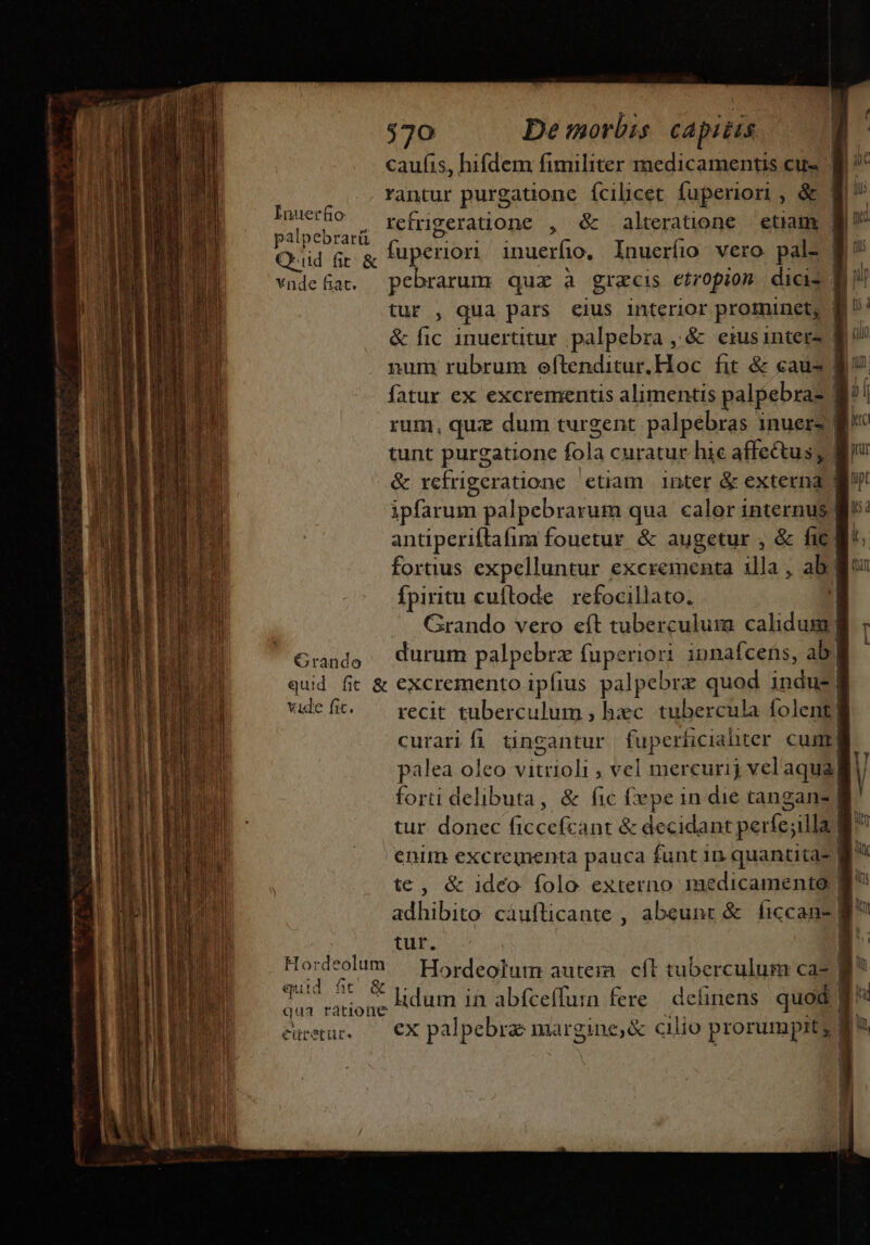 Inuerfio palpebrarü Qrud fir &amp; vnde fiat. Crando $70 De morbis. capitis caufis, hifdem fimiliter medicamentis. cu B rantur purgatione fcilicet fuperiori , &amp; $i refriperatüione , dé alteratione | etiam | fuperiori inuerfio, Inuerfio vero pal- B pebrarum quz à graecis etropiom dicis B tur , qua pars eius interior prominet, &amp; fic inuertitur palpebra , &amp; eiusinters | num rubrum eftenditur.Hoc fit &amp; caus fatur ex excrementis alimentis palpebra- rum, qui dum turgent palpebras inuers tunt purgatione fola curatur hic affectus j| &amp; refrigeratione etiam inter &amp; externa | ipfarum palpebrarum qua calor internus | antiperiftafim fouetur &amp; augetur , &amp; fic: fortius expelluntur excrementa illa , ab. fpiritu cuftode | refocillato. Grando vero eft tuberculum calidum durum palpebrz fuperiori innaícens, abi vide fic. H Ke. qut Í d fit eir SELEE « recit tuberculum ; hxc. tubercula folent] curari fi. tincantur fuperhicialiter cunt palea oleo vitrioli , vel mercurij vel'aqua forti delibuta, &amp; fic £epe in die tanganz | tur donec ficcefcant &amp; decidant perfe;illa | | te, &amp; ideo folo externo 1medicamento | adhibito caufticante , abeunr &amp; ficcan- B | tur. &amp; Mim a in abfceífurn fere definens quod | €x pa lpebra margine,&amp; cilio prorumpit; j gru