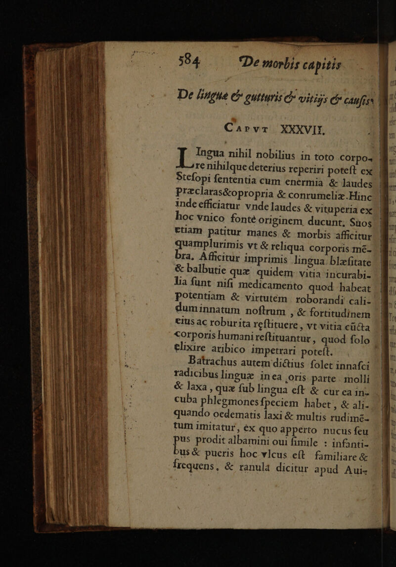 Mose Sc Aci) 1L Mita me 584. *De morbis capitis De [sigue 6 gutturis d vitiss ef caufiss | Caprvr XXXVII. | I Ingua nihil nobilius in toto corpos M. re nihilque deterius reperiri poteft ex. | Stefopi fententia cum enermia &amp; laudes | Przclaras&amp;opropria &amp; conrumeliz.Hinc. 3 inde efficiatur vnde laudes &amp; vituperia ex hoc vnico fonte originem, ducunt; Suos ttiam patitur manes &amp; morbis afficitur quamplurimis vt &amp; reliqua corporis me- bra, Afficitur imprimis lingua. blzfitate &amp; balbutie quz. quidem: vitia incurab;- LI lia funt. nifi medicamento quod habeat potentiam &amp; virtutem | roborandi cali- fi duminnatum noflrum , &amp; fortitudinem | etus ac roburita reflituere , vt vitia c&amp;ta «orporis humani reflituantur , quod folo : elixire aribico impetrari poteft. — Batrachus autem di&amp;tius folet innafci NE radicibus lingue inea ,Oris. parte . molli | k &amp; laxa , quz fub lingua eft &amp; cur ea in- * x cuba phlegmones fpeciem habet , &amp; ali. i quando oedematis laxi &amp; multis rudimz- | tum imitatur, éx quo apperto nucus feu Mi. pus prodit albamini oui fimile : infanti- bus &amp; pueris hoc vlcus e(t familiare &amp; Írequens, &amp; ranula dicitur apud Aui-