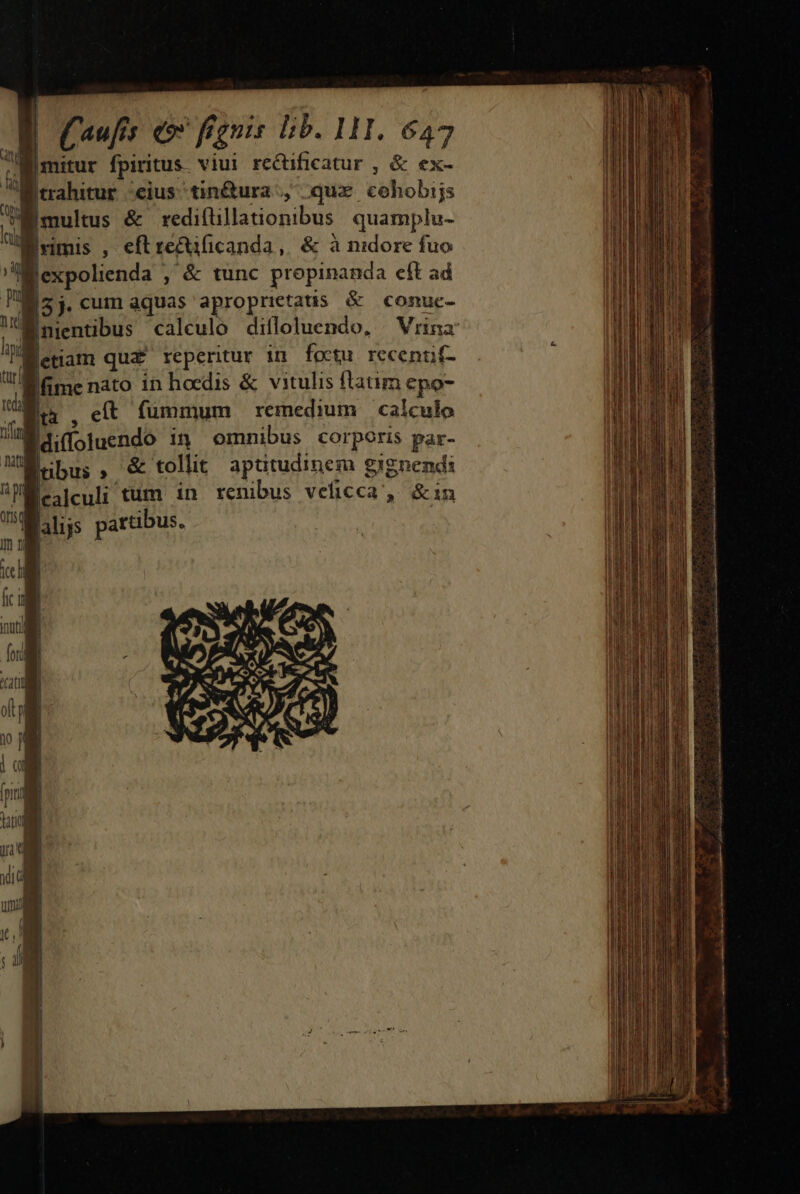 | |mitur fpiritus. viui re&amp;ificatur , &amp; ex- Itrahitur /eius tin&amp;ura qux. cohobijs multus &amp; rediftillationibus. quamplu- Ernmis , eft recuficanda,. &amp; à nidore fuo Jexpolienda ; &amp; tunc propinanda eft ad I5 j. cum aquas aproprietatis &amp; conuc- Bnientibus calculo dilloluendo, / Vrina Betiam quz reperitur in foctu rccenut- fime nato in hocdis &amp; vitulis flatim epo- li , e(t. fummum remedium calculo Idiloluendo in omnibus corporis par- Rubus, &amp; tollit apütudinem gignend: ME&amp;ealculi tum in renibus veficca', &amp;in alijs partibus.