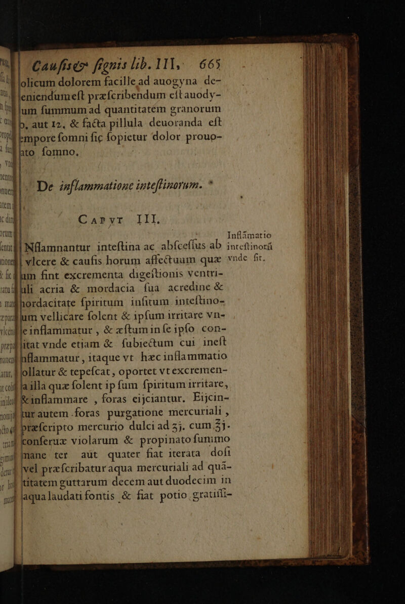 4 olicum dolorem facille ad auogyna de- leniendumelt prz fcribendum cft auody- 'Élum fummum ad quantitatem granorum M 5. aut 12, &amp; facta pillula deuoranda eft Tempore fomni fic fopietur dolor prouo- 'fhto fomno. | / De inflammatione ügte[linorum. * Ca»vr IIL Inflámatio Nfamnantur inteftina ac abfceffus ab. intettinorá | vlcere &amp; caufis horum affectuum quz vnde fic. m fint excrementa digeitionis ventri- li acria &amp; mordacia fua acredine &amp; 1ordacitate fpiritum. infitum inteftino- m vellicare folent &amp; ipfum irritare vn- lleinflammatur , &amp; xftuminíe ipfo con- popiblitat vnde etiam &amp; fubie&amp;tum cui ineft flammatur , itaque vt hecinflammato iw &amp; tepeícat , oportet vt excremen- valla illa quz folent ip fum fpiritum irritare, ul Rinflammare , foras eijciantur. Eijcin- wujf tur autem .foras puxgatione mercuriali , od prefcripto mercurio dulci ad 2j. cum 2j. m9 onferux violarum &amp; propinato funimo imi immane ter aut quater fiat iterata dofi à vel przfcribatur aqua mercuriali ad quà- titatem guttarum decem aut duodecim in aqualaudatifontis &amp; fiat potio, gratií- nal atur, J ln i1 — [1 Em *—- l | | l j ! ! E]