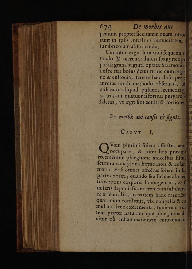 pediunt propter ficcitatem quam introj| cunt in ipfis inteflinis humiditatem | Jumbricofam abforbendo, Curantur ergo lumbrici fequenti gj thodo 27 mercurij dulcis fpagyrice pil parati grana viginti opiatz Salamonis | mifce fiat bolus detur mane cum regm ne &amp; cuftodia, iteretur hec dofis persi auroras fimili methodo obferuata, AB mifceatur aliquid. pulueris hemeticigiB na tria aut quatuor fifortius purgare fideras , vt zgrifint adulti &amp; fortiores E Yu De worbis ani caufis c fugis. Aa Ü CarvTUrUE ( X Vam plurimi folent affe&amp;us anu ,Occupare, &amp; inter bos praciptli recenfentur pblegnone abfceftus fiftull Íciftura condylona hzmorhois &amp; inflam matio, .&amp; fi omnes affectus folent in lia parte exoriri ; quando feu fuccus alimen titus totius corporis homogencus , &amp; fi milaris deponit fua excrementa fulphura| &amp; arfenicalia, in partem hanc carnofangi quz anum conftituit, vbi congefla &amp; ca mulata, hzc excrementa , tumorem exi | tent przter naturam que phlegnone dili citur ob. inflammationem concomitam d u Í | !