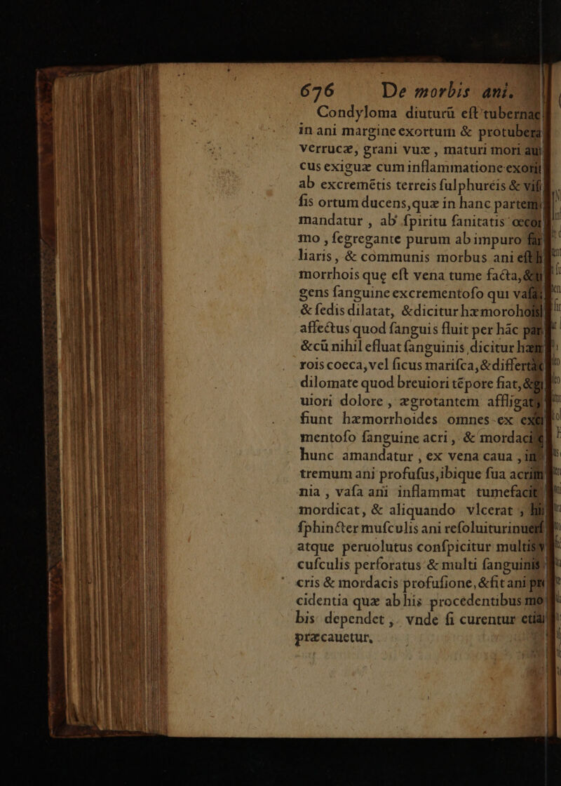 atILUQERUIPERRES —: P1 GT $4 Yu 676 De morbis ani. Condyloma diuturü eft'tubernae| in ani margine exortum &amp; protubera| Verrucz, grani vuz , maturi mort auj cus exigeuz cum inflammatione exonit ab excremétis terreis fulphuréis &amp; vifi. fis ortum ducens,quz in hanc partem mandatur , ab fpiritu fanitatis occoll. mo , fegregante purum ab impuro ff liaris ,.&amp; communis morbus ani efto) morrhois que eft vena tume facta, 8l gens fanguine excrementofo qui valli &amp; fedis dilatat, &amp;dicitur hzmoroholl affectus quod fanguis fluit per hác pai &amp;cü nihil efluat fanguinis dicitur ham rois coeca, vel ficus marifca,&amp;differtit dilomate quod breuiori tépore fiat, &amp;g | uiori dolore , zgrotantem affligatg f funt hzmorrhoides omnes-ex exi mentofo fanguine acri. &amp; mordacilell hunc amandatur , ex vena caua , iif tremum ani profufus, ibique fua acri nia , vafa ari inflammat tumefacit mordicat, &amp; aliquando vlcerat ; Bug fphincter mufculis ani refoluiturinueif gi atque peruolutus confpicitur multis cufculis perforatus'&amp; multi (anguilt cris &amp; mordacis profufione, &amp;fit ani pii] cidentia quz ab hi; procedentibus Pi bis: dependet ,. vnde fi curentur etídi pracauctur, | | 1
