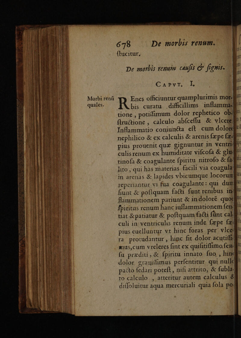 n———————M — Morbi renü quales. 678 De morbis renum. flucitur, Carvr. L Enes officiuntur quamplurimis mor. g^ WM bis curatu difficillims | inflamma gr tione , potiffimum dolor rephetico ob. E flru&amp;ione , calculo abfceffu &amp; vlcereg Inflammatio coniuncta eft cum dolor nephilico &amp; ex calculis &amp; arenis fepe (ea^ pius prouenit quz gignuntur 1n ventre culisrenum ex humiditate vifcofa &amp; elu: tinofa &amp; coagulante fpiritu nitrofo &amp; fag lite , qui hàs materias facili via coagula! in arenas &amp; lapides vbicumque locorung reperiantur vi fua. coagulante: qui dung fiunt &amp; poftquam factu funt renibus. inj flammationem pariunt &amp; indoloré quot fpiritus renum hanc jiuflammationem fen. ff tiat &amp;patiatur &amp; poftquam fa&amp;ti fünt cal ff culi in ventriculis renum inde fxpe fz f pius euelluntur vt hinc foras per vlceg ra protudantur , hinc fit dolor acutiffi mus,cum vreleres fint ex quifitiffimo feng (a prediti, &amp; fpiritu innato fuo , hint pa&amp;o fedari poteft , nifi attrito, &amp; fubla.| to calculo, atteritur autem calculus 6| di[oluitur aqua mercuriah: quia fola poj